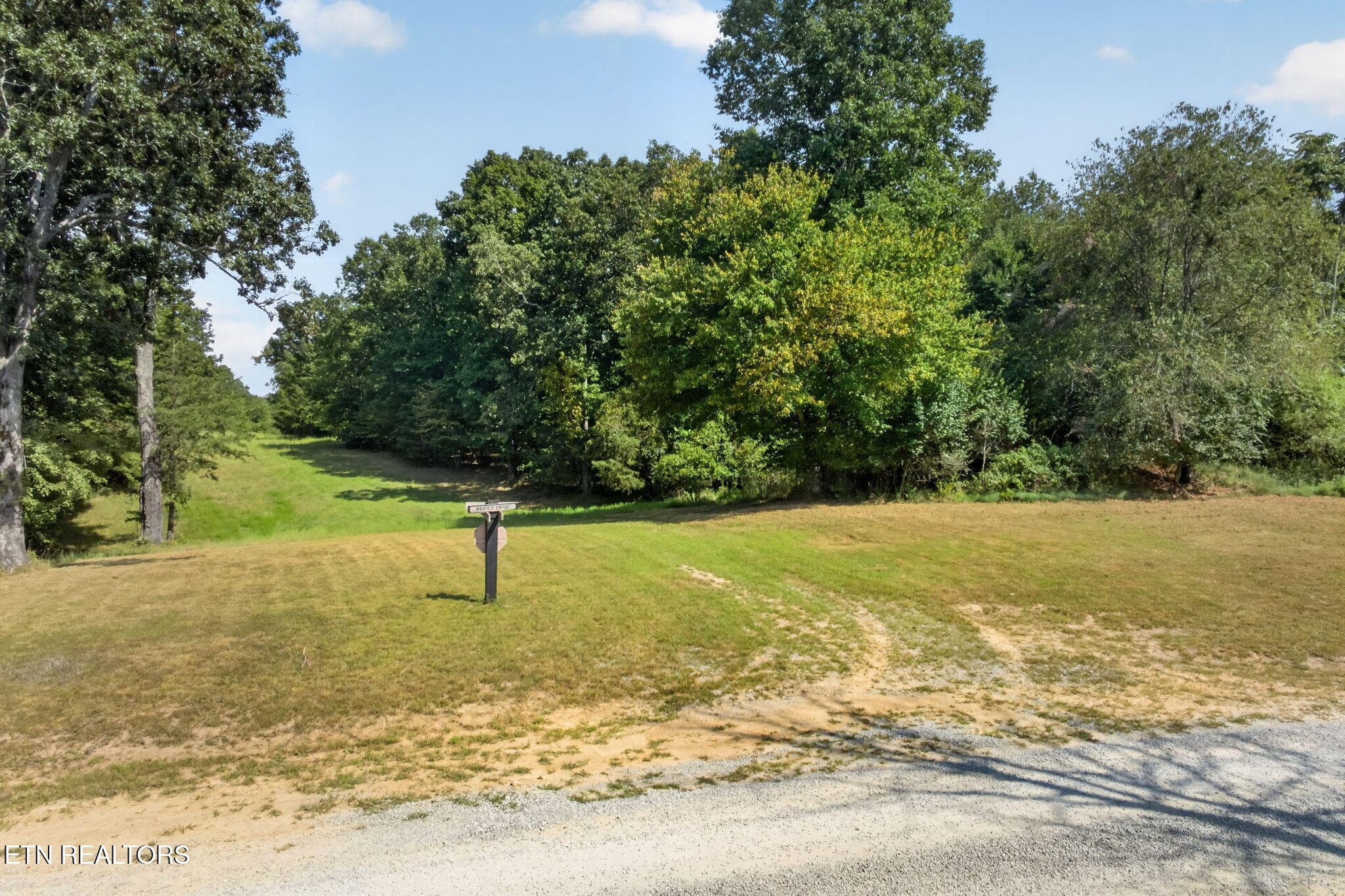 37-web-or-mls-long-branch-lakes - 103 AC Halter Court, Spencer, TN 38585
