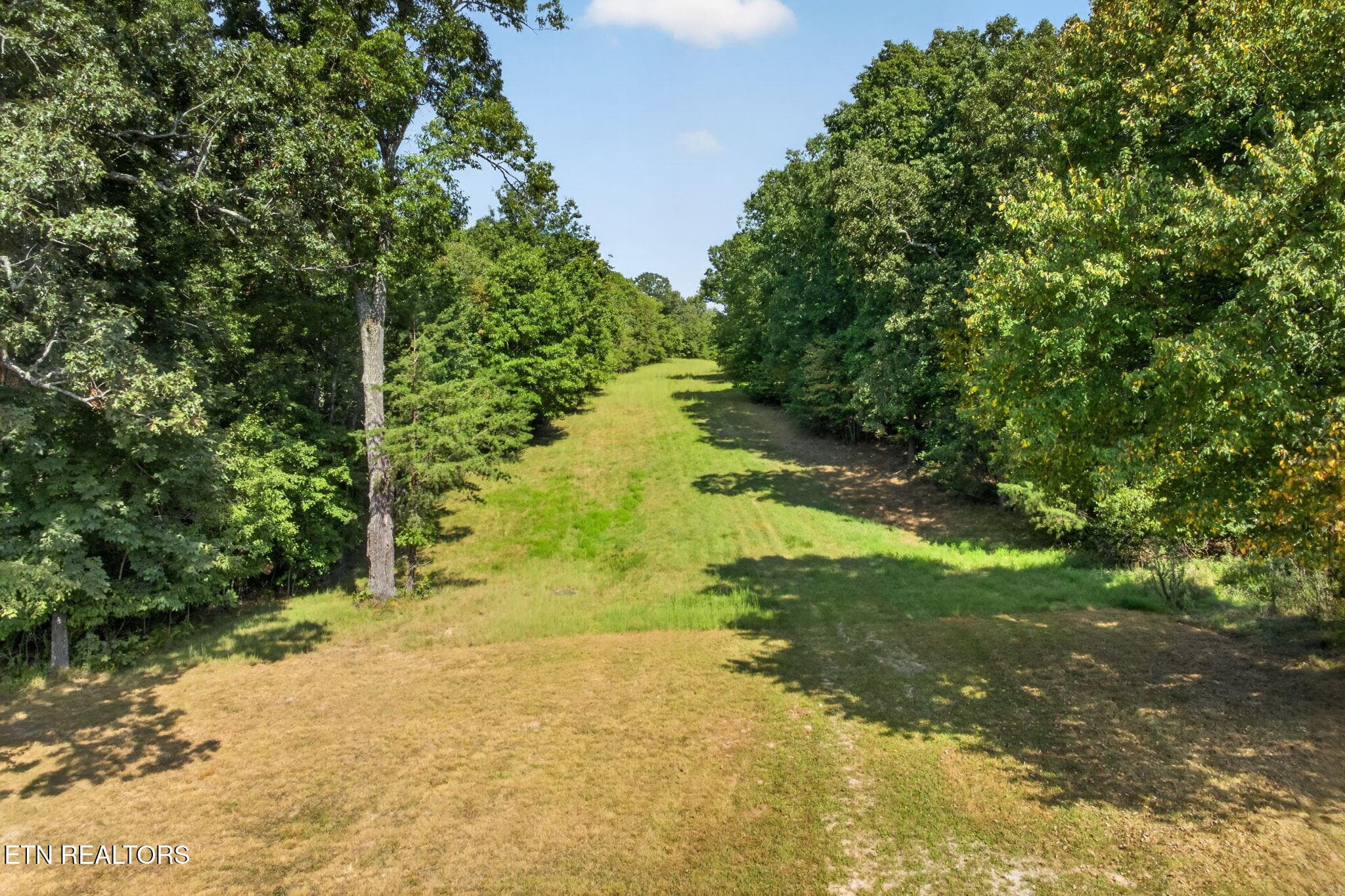 38-web-or-mls-long-branch-lakes - 103 AC Halter Court, Spencer, TN 38585
