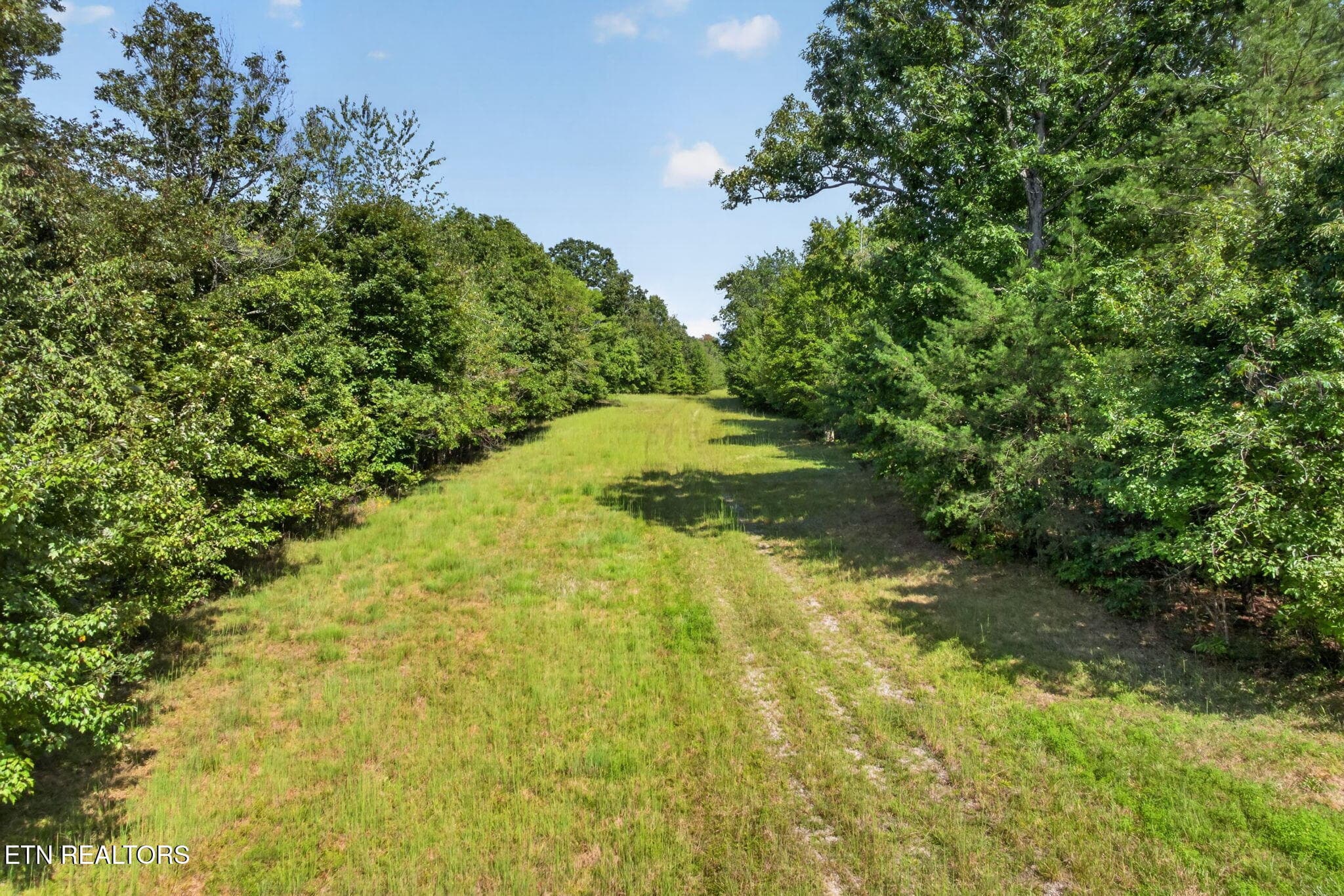 39-web-or-mls-long-branch-lakes - 103 AC Halter Court, Spencer, TN 38585