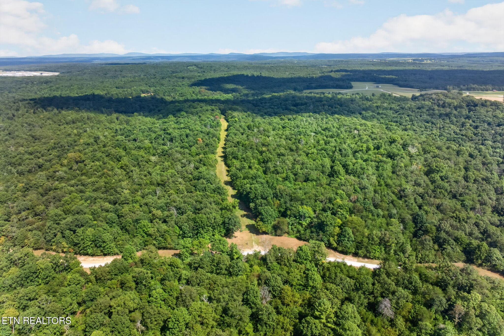 41-web-or-mls-long-branch-lakes - 103 AC Halter Court, Spencer, TN 38585