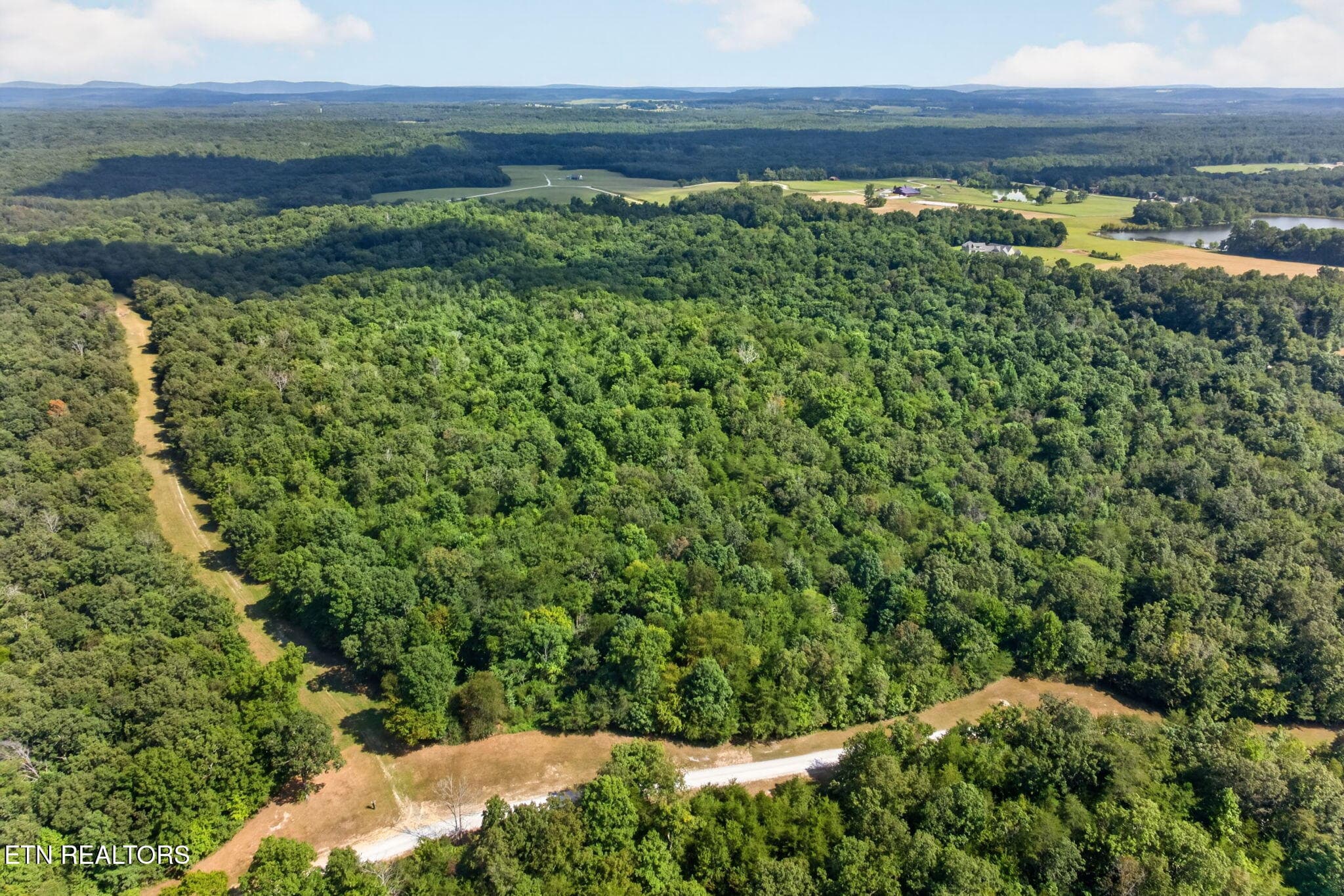 44-web-or-mls-long-branch-lakes - 103 AC Halter Court, Spencer, TN 38585