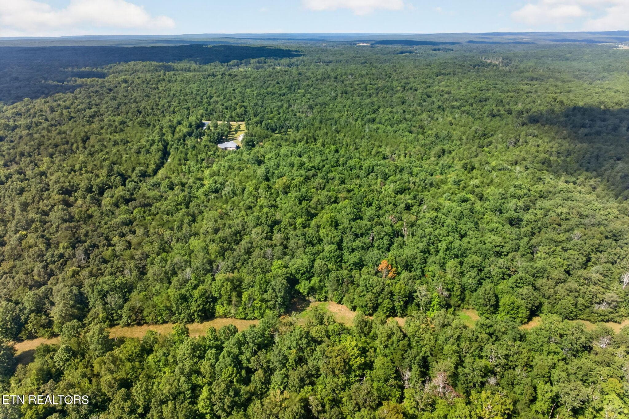 47-web-or-mls-long-branch-lakes - 103 AC Halter Court, Spencer, TN 38585