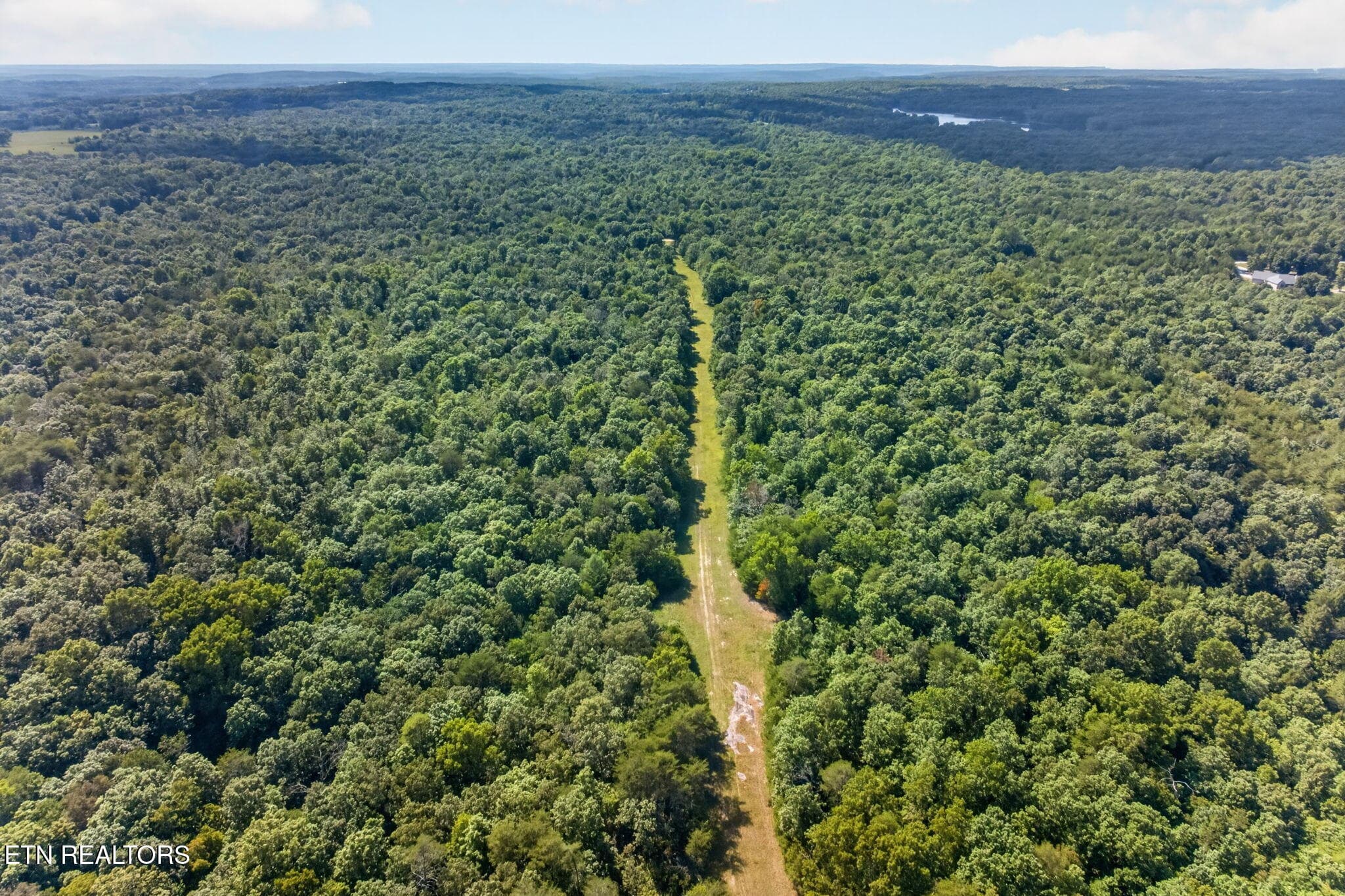 51-web-or-mls-long-branch-lakes - 103 AC Halter Court, Spencer, TN 38585