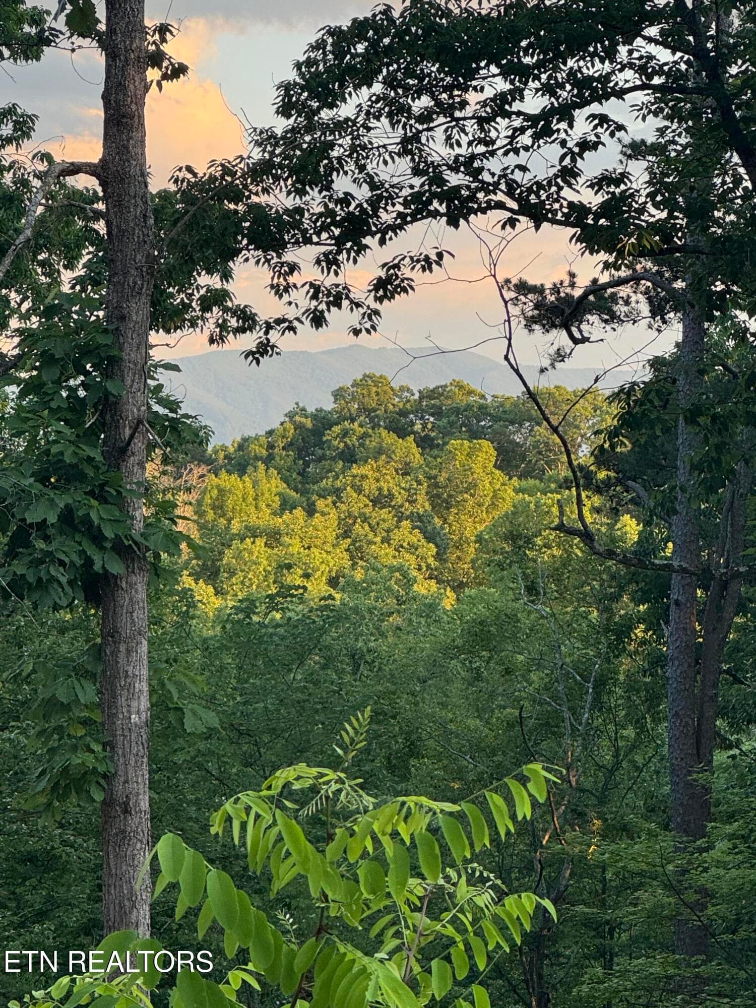 IMG_2215 - Iron Gate Drive, Baneberry, TN 37890