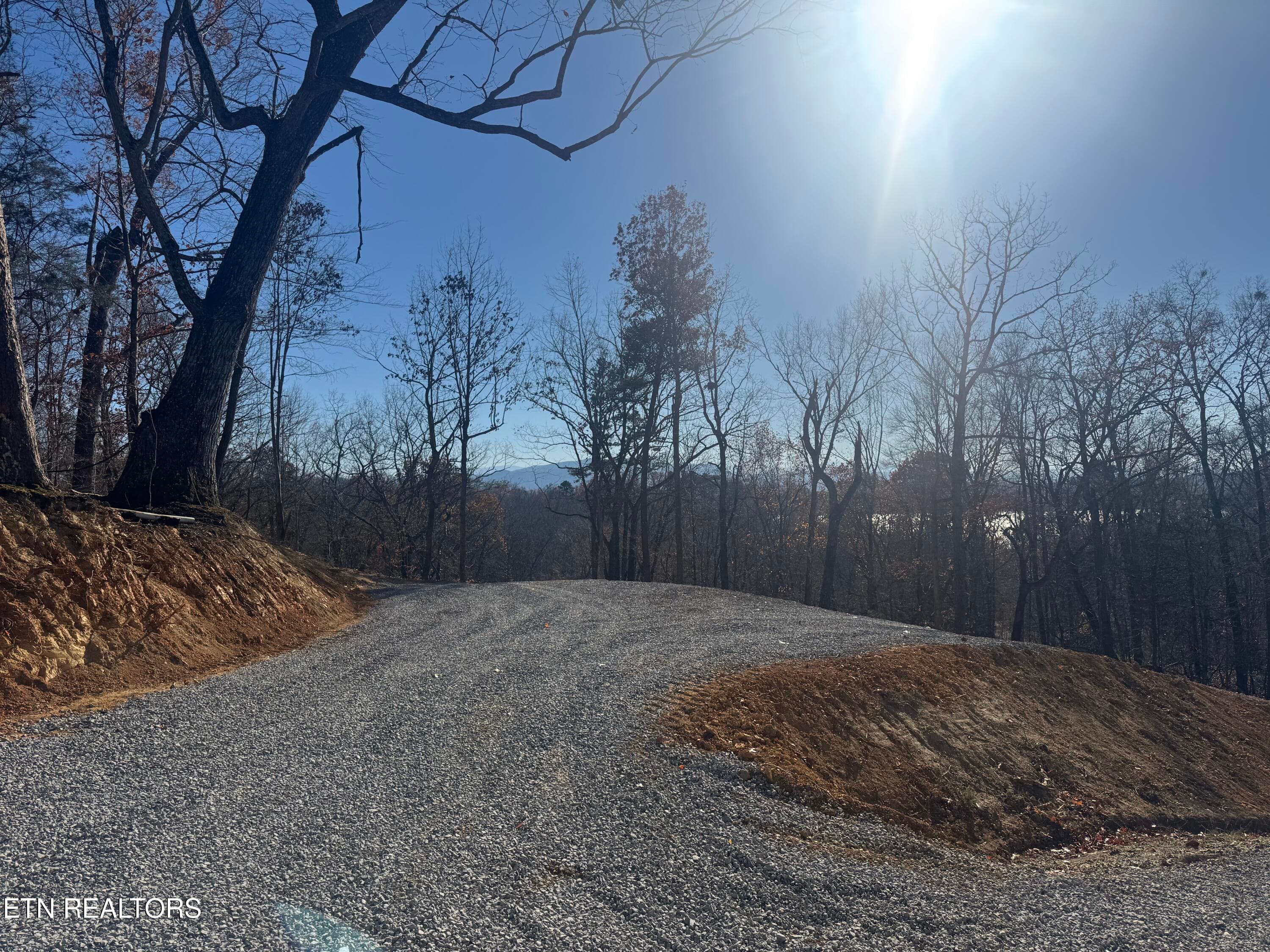 Pic 1 - Iron Gate Drive, Baneberry, TN 37890
