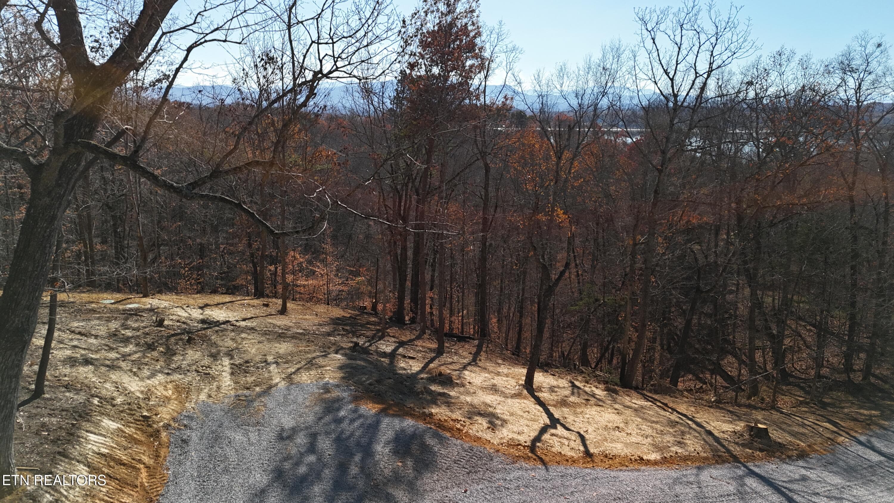 Pic 4 - Iron Gate Drive, Baneberry, TN 37890