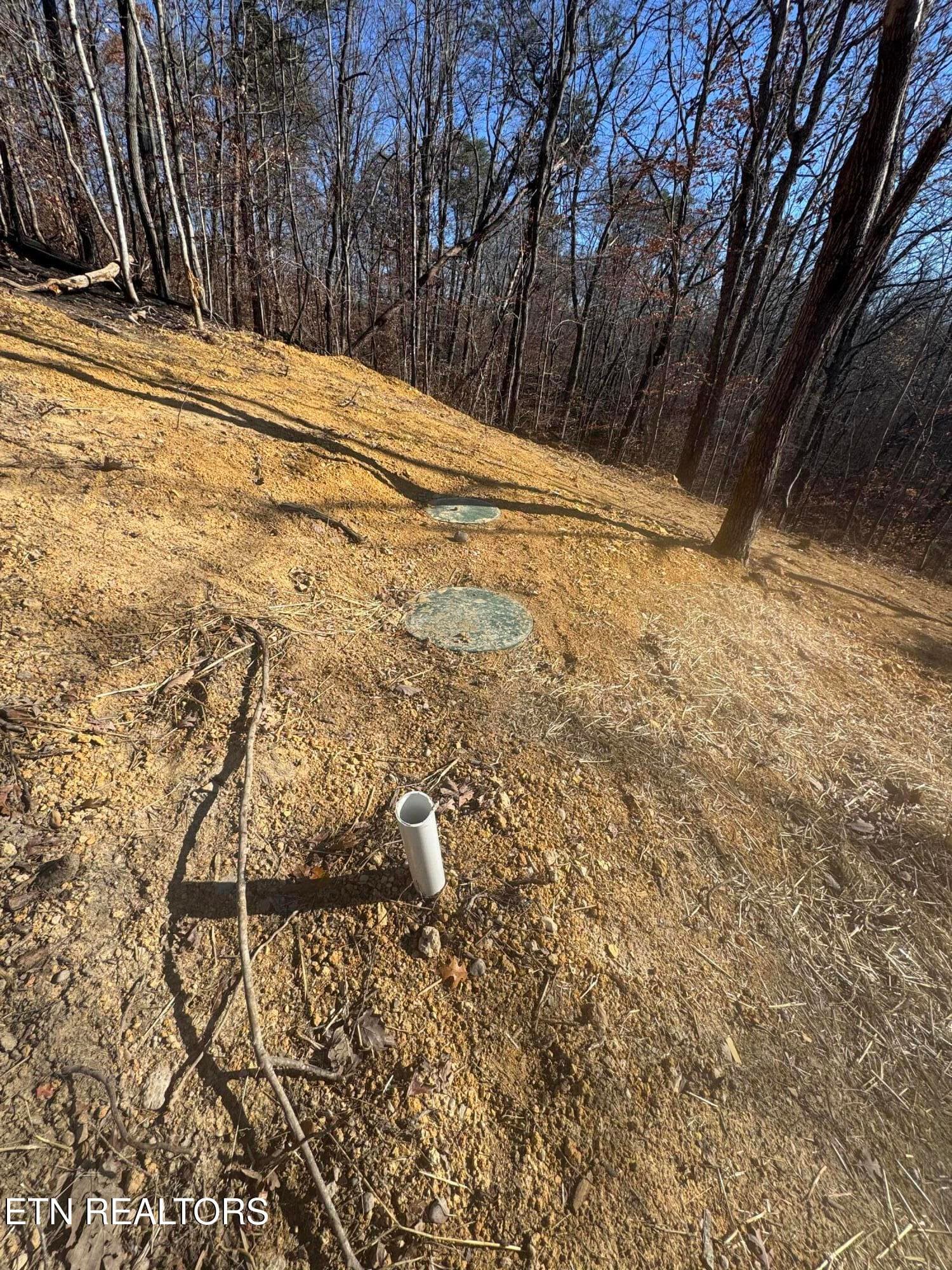 Pic 9 - Iron Gate Drive, Baneberry, TN 37890
