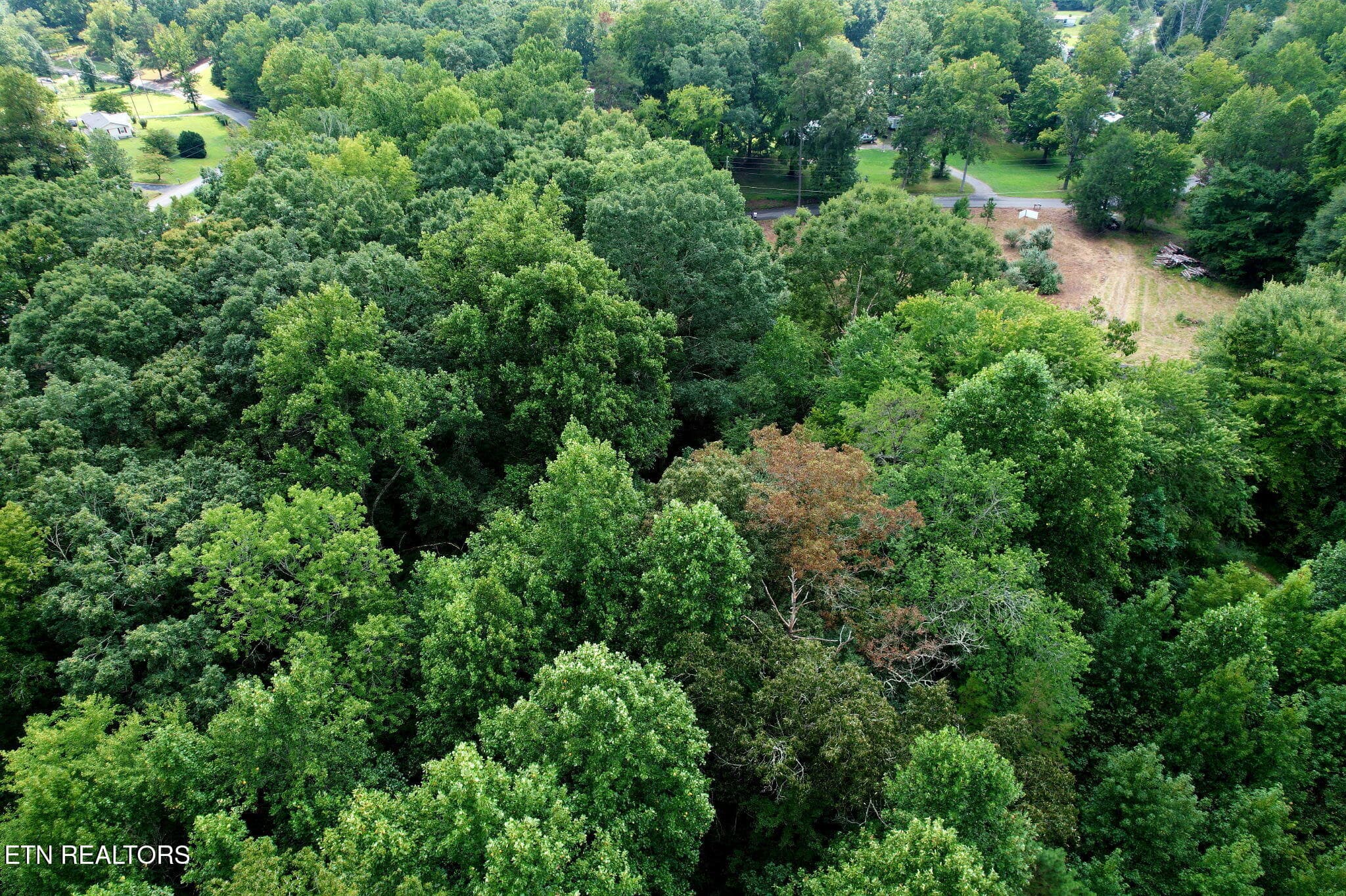 Overhead - Cove Lane, Oliver Springs, TN 37840
