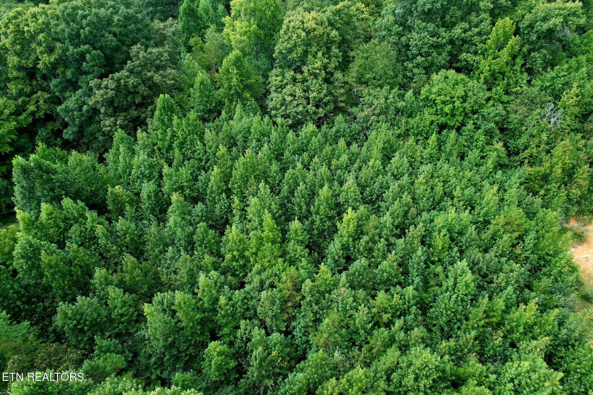 Overhead - Cove Lane, Oliver Springs, TN 37840
