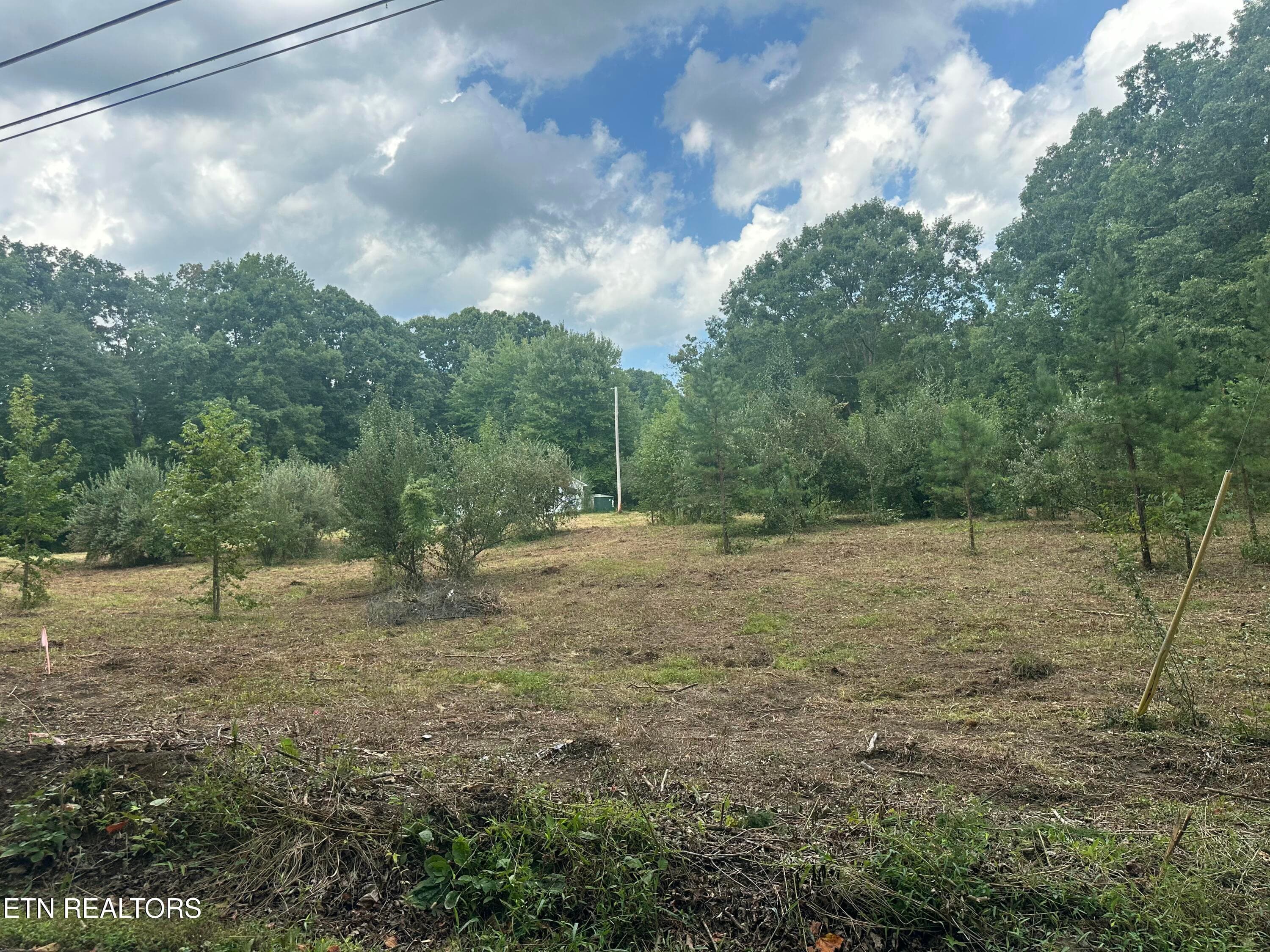 Road Side - Cove Lane, Oliver Springs, TN 37840