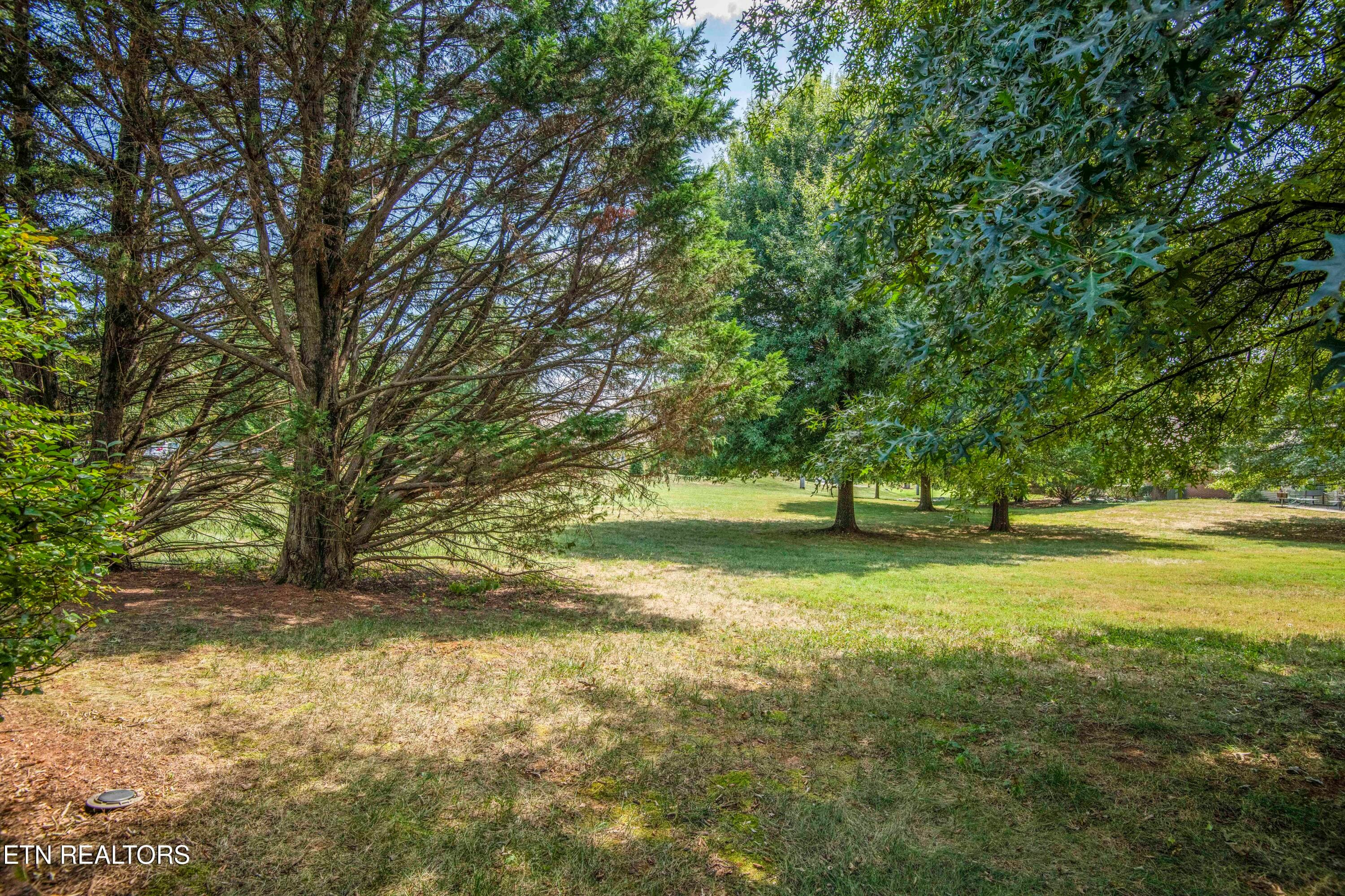 yard 1_1 - 11204 Kilpatrick Way, Knoxville, TN 37932