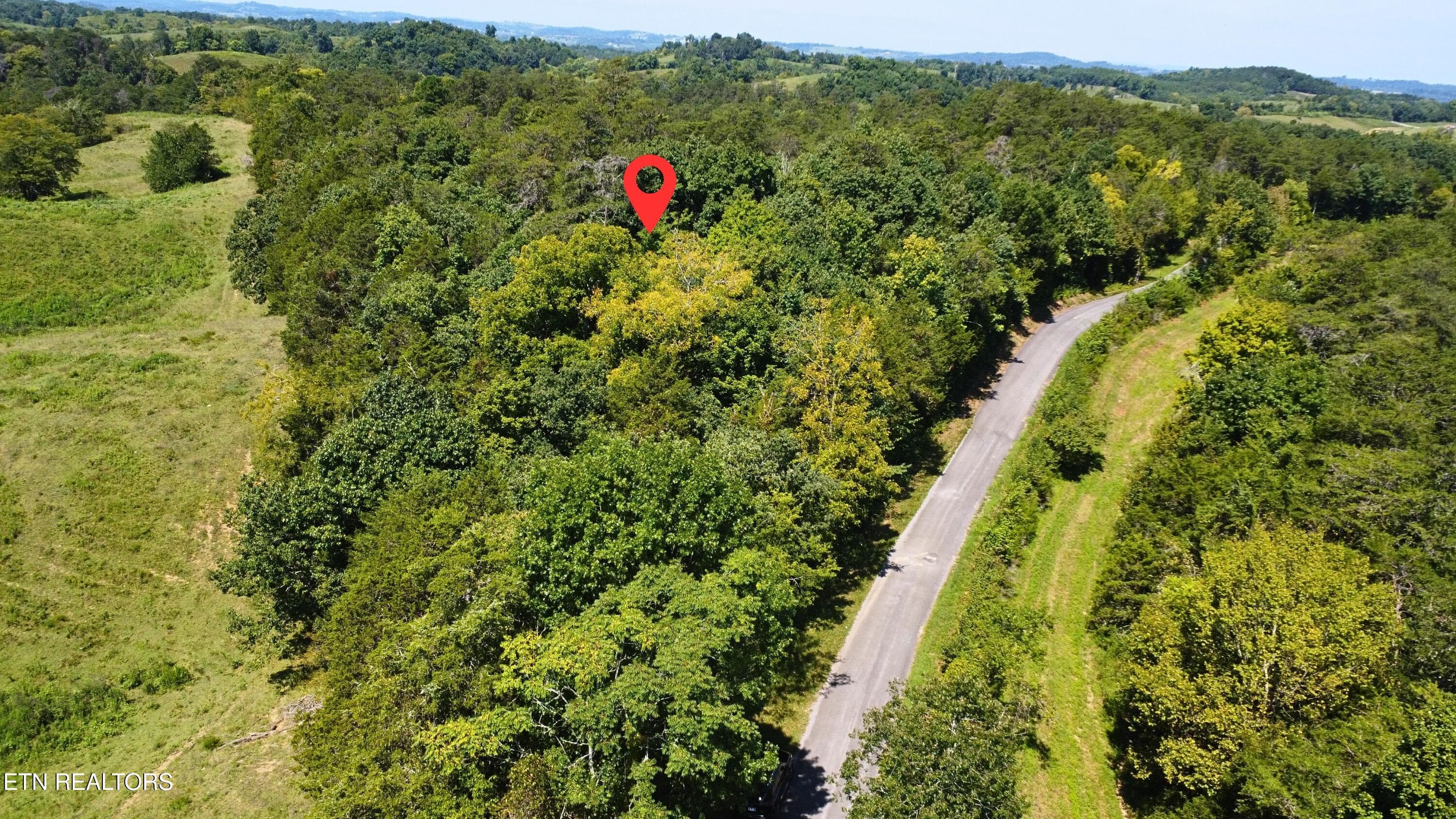 Democrat Road looking north - tbd Democrat Rd, Mohawk, TN 37810