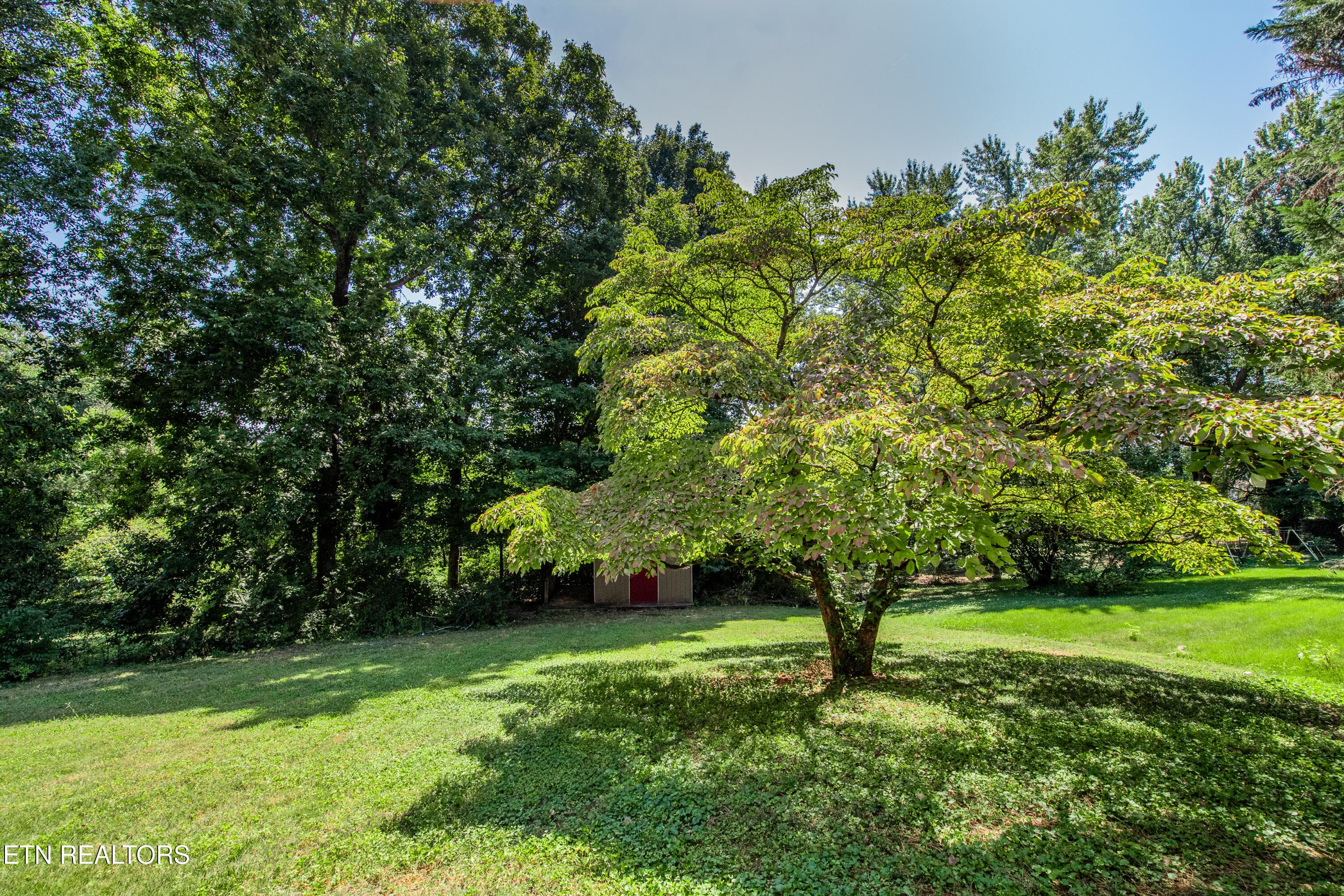 Back Yard - 11904 W Kingsgate Rd 2, Knoxville, TN 37934