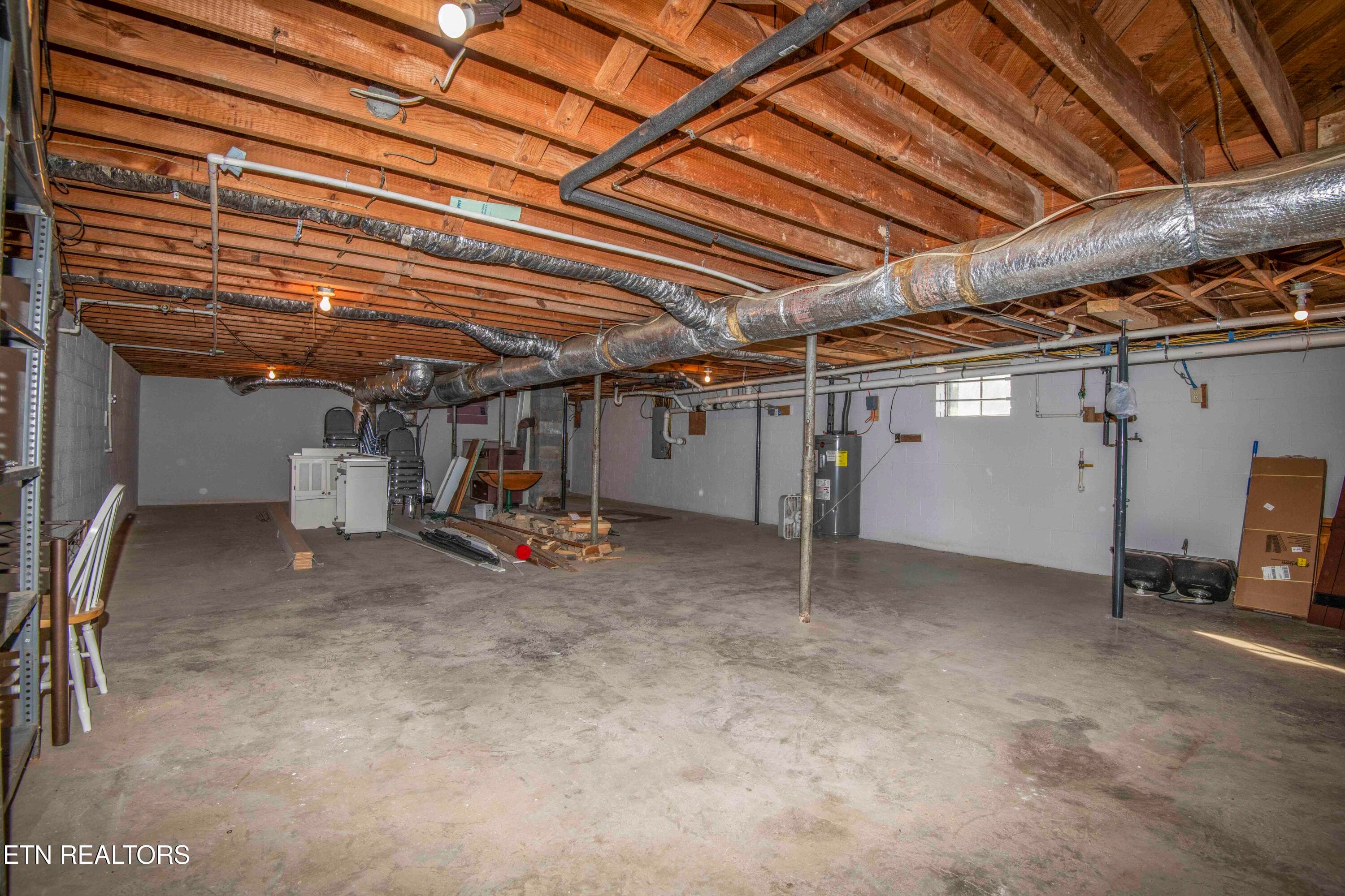 basement _1 - 10732 Richland +13 Acres Rd, Mascot, TN 37806