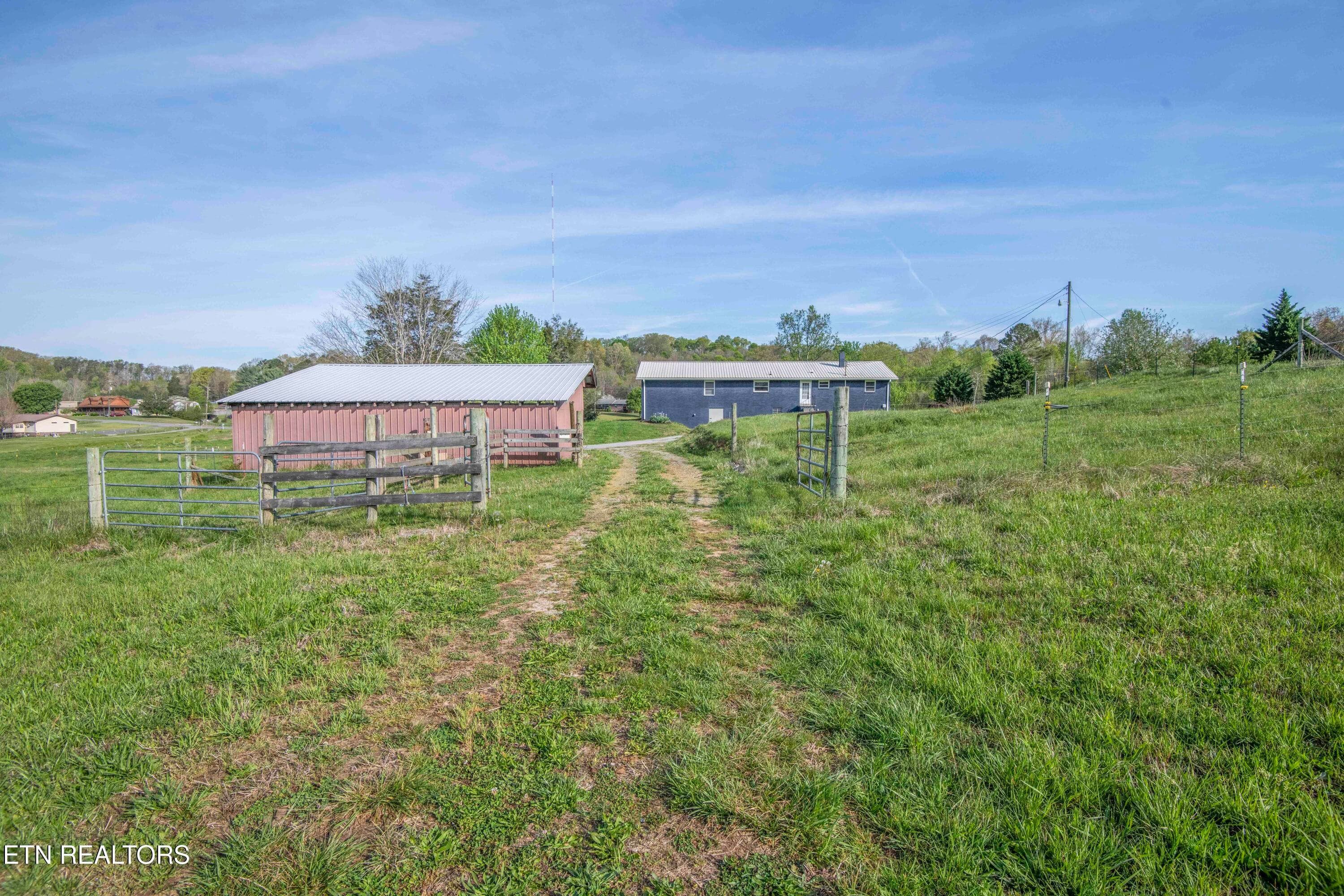 yard 2_1 - 10732 Richland +13 Acres Rd, Mascot, TN 37806