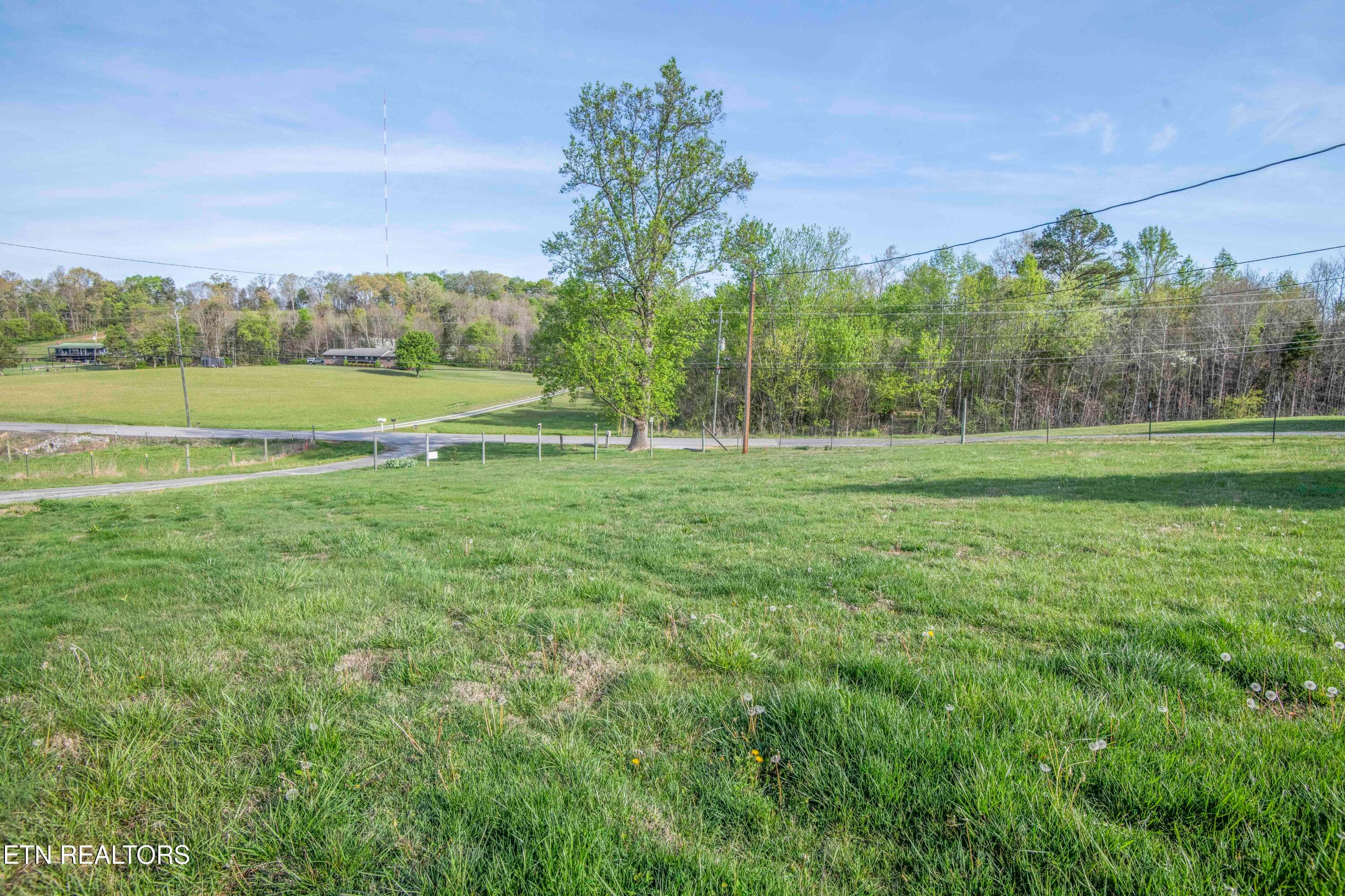 yard 10_1 - 10732 Richland +13 Acres Rd, Mascot, TN 37806