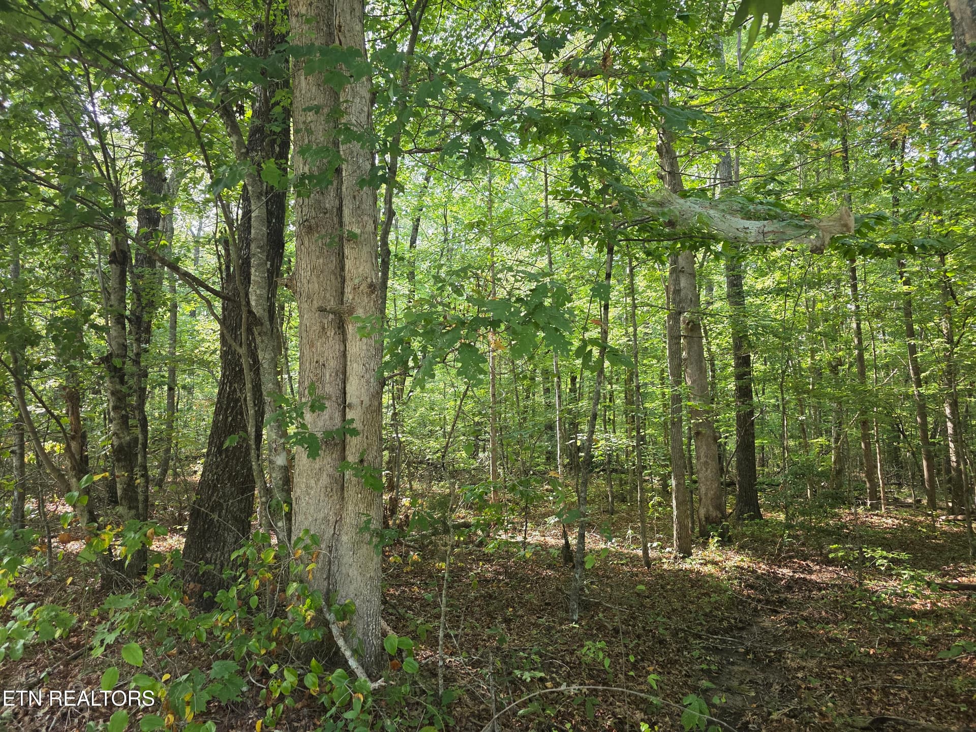 1000029716 - 6 Cumberland Lakes Drive, Monterey, TN 38574