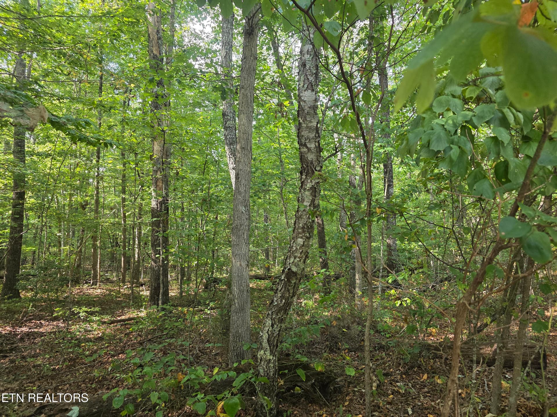 1000029715 - 6 Cumberland Lakes Drive, Monterey, TN 38574