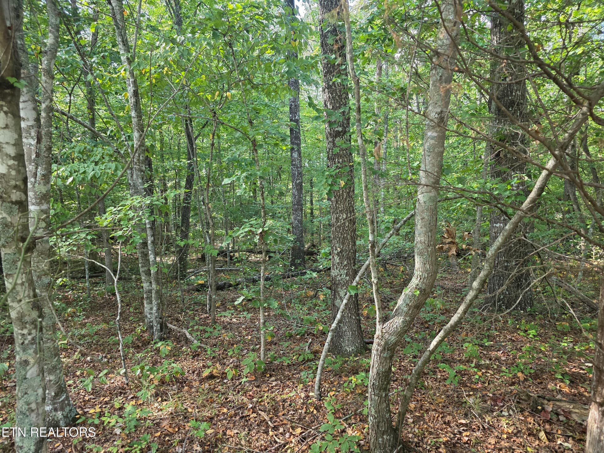 1000029713 - 6 Cumberland Lakes Drive, Monterey, TN 38574