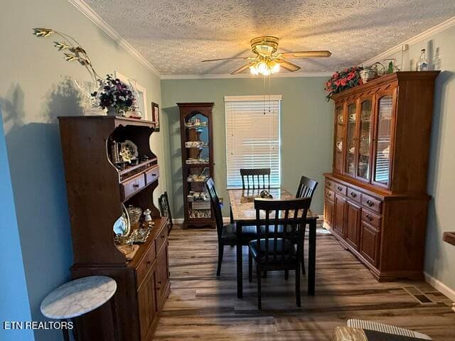 IMG_7421 - 1805 Brookmill Rd, Knoxville, TN 37932