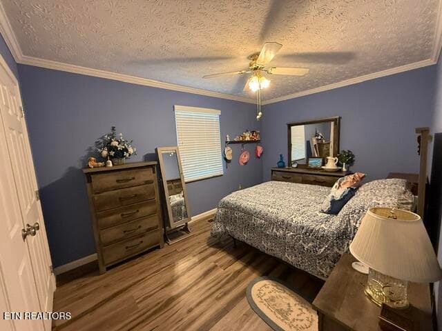 IMG_7414 - 1805 Brookmill Rd, Knoxville, TN 37932
