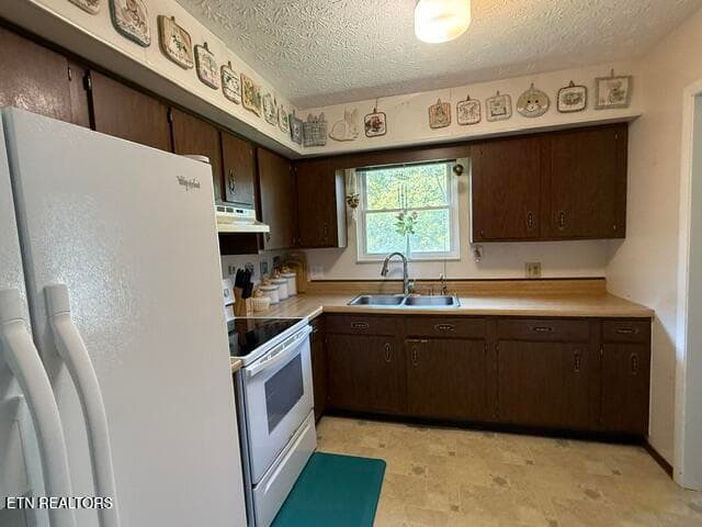 IMG_7402 - 1805 Brookmill Rd, Knoxville, TN 37932