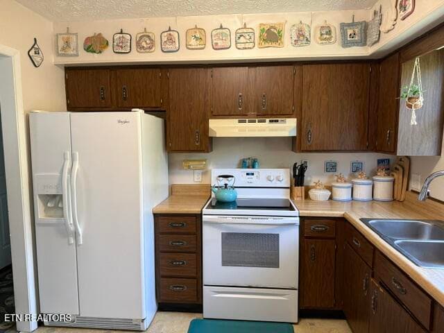 IMG_7403 - 1805 Brookmill Rd, Knoxville, TN 37932
