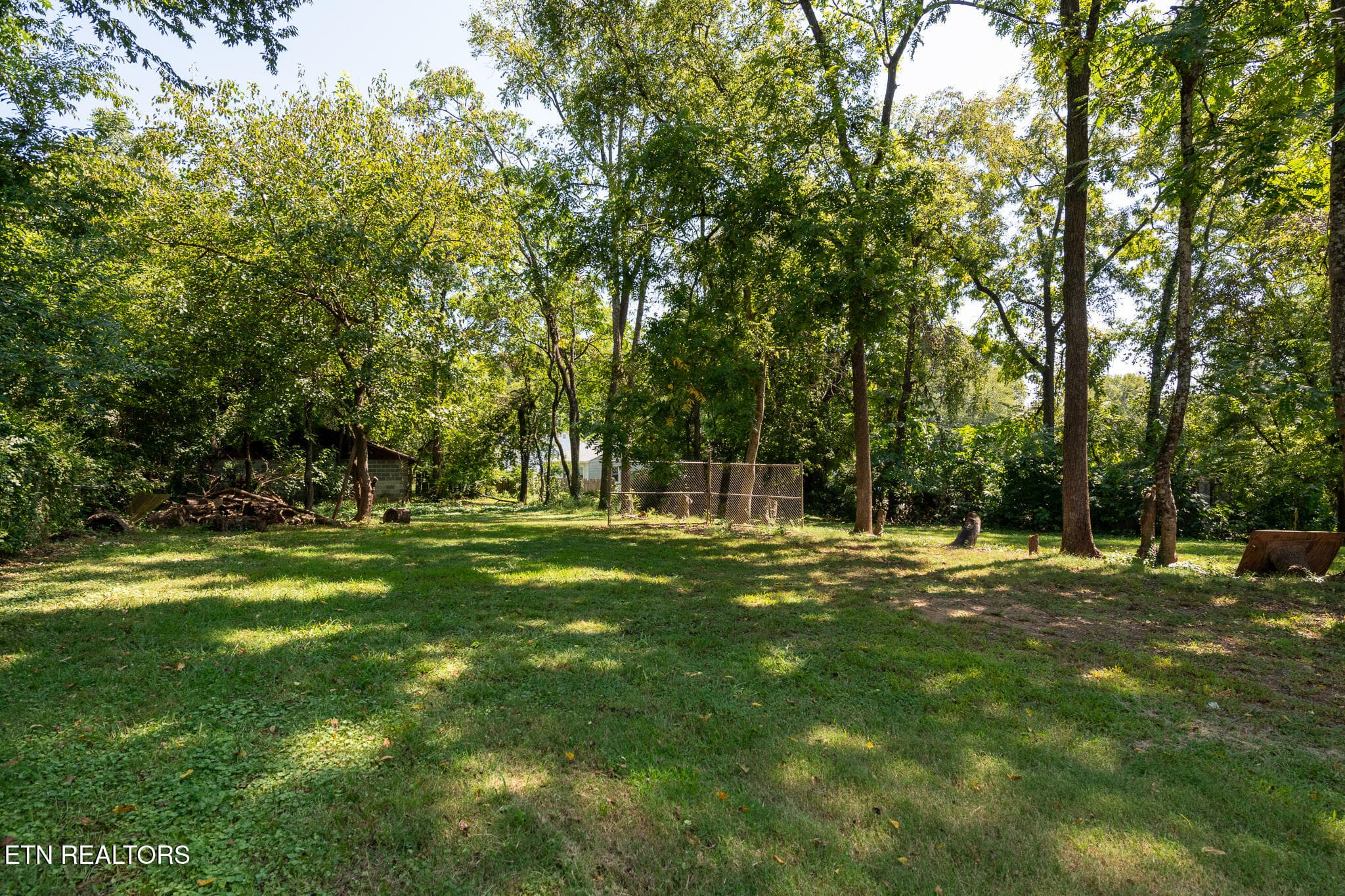 25_backyard - 1612 Wilder Place, Knoxville, TN 37915