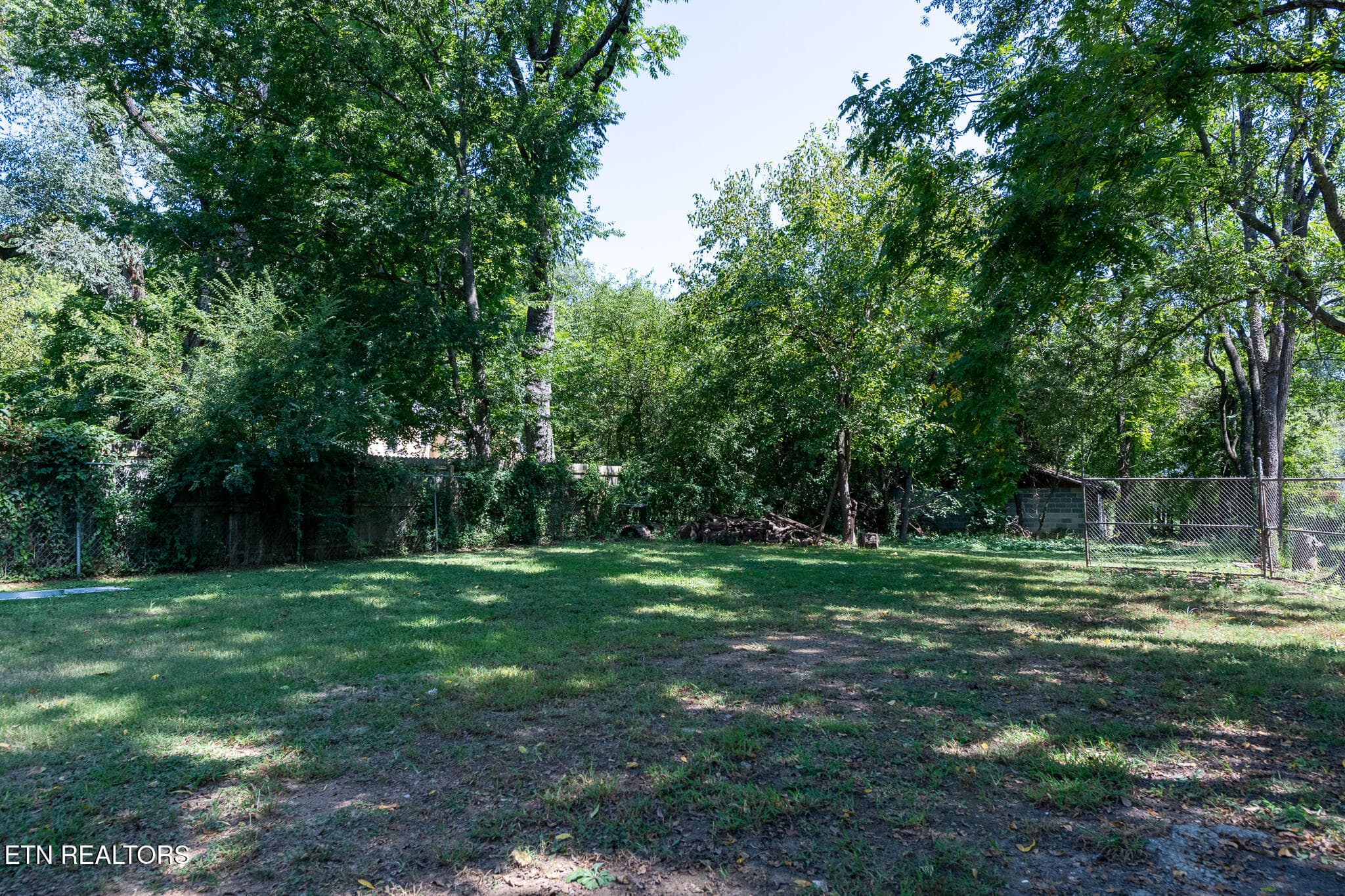 26_backyard - 1612 Wilder Place, Knoxville, TN 37915