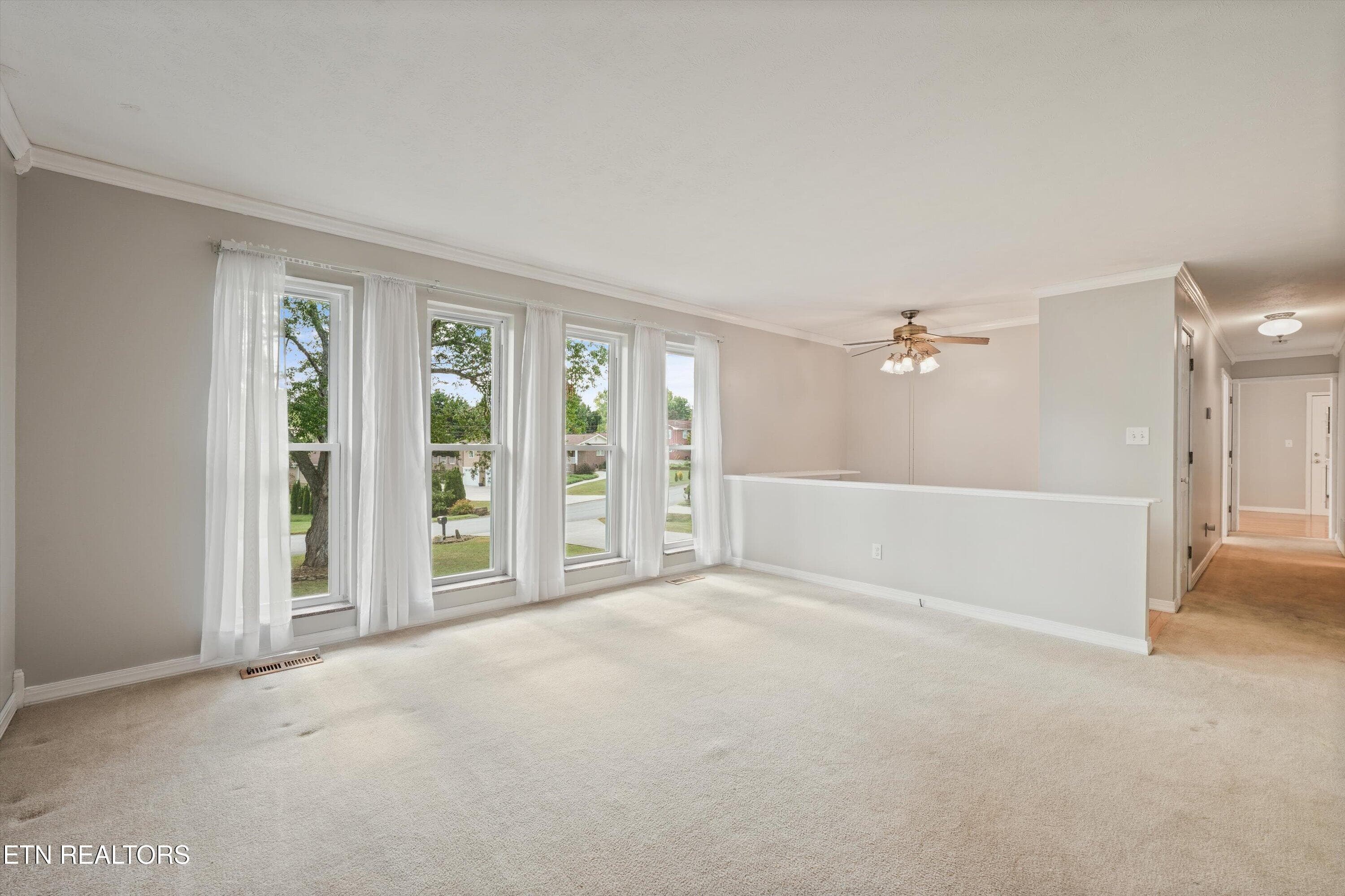 Tons of Natural Light - 7314 Glastonbury Rd, Knoxville, TN 37931