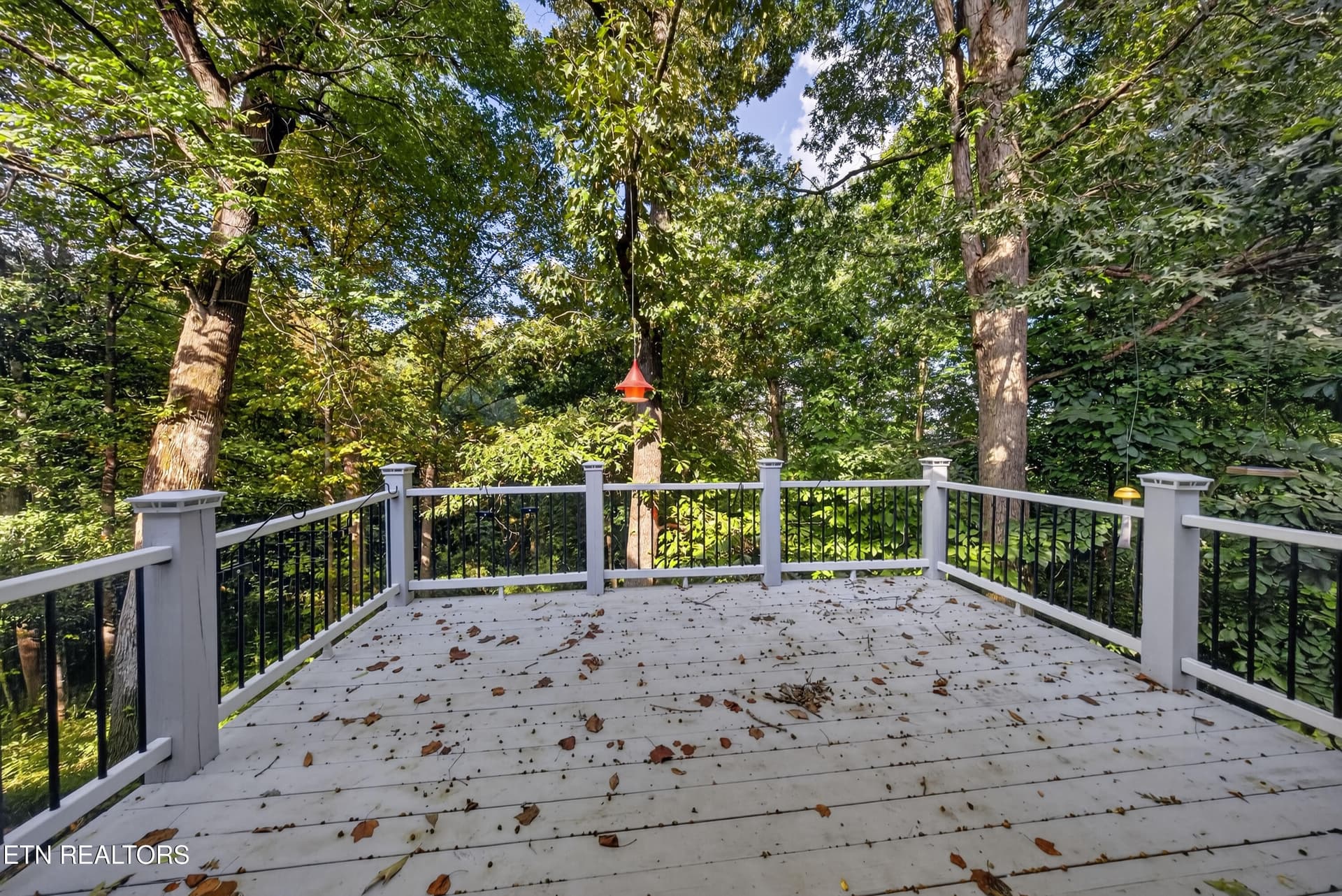 Deck off Den - 1428 Pine Springs Rd, Knoxville, TN 37922