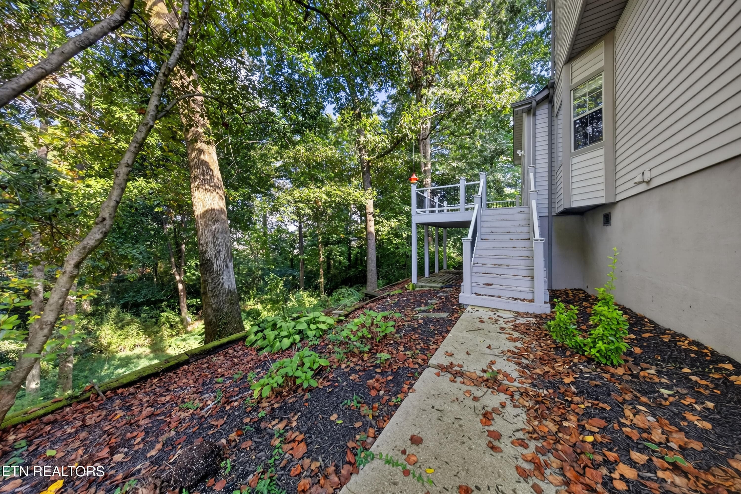 Backyard - 1428 Pine Springs Rd, Knoxville, TN 37922