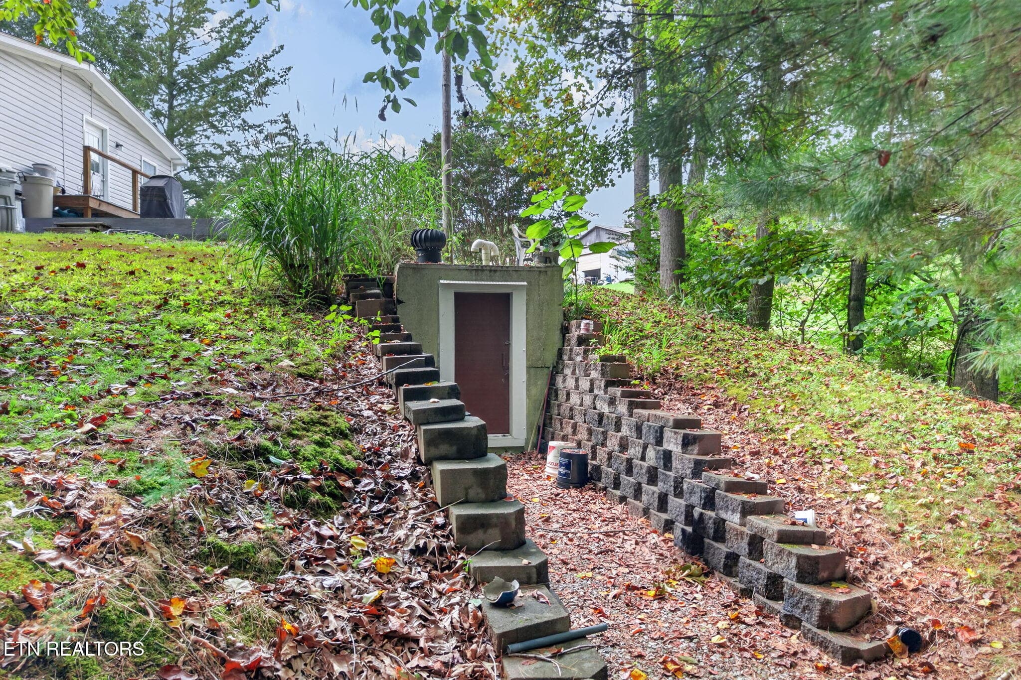 8-web-or-mls-1100 Reeder Rd_6 - 1100 Reeder Rd, Byrdstown, TN 38549