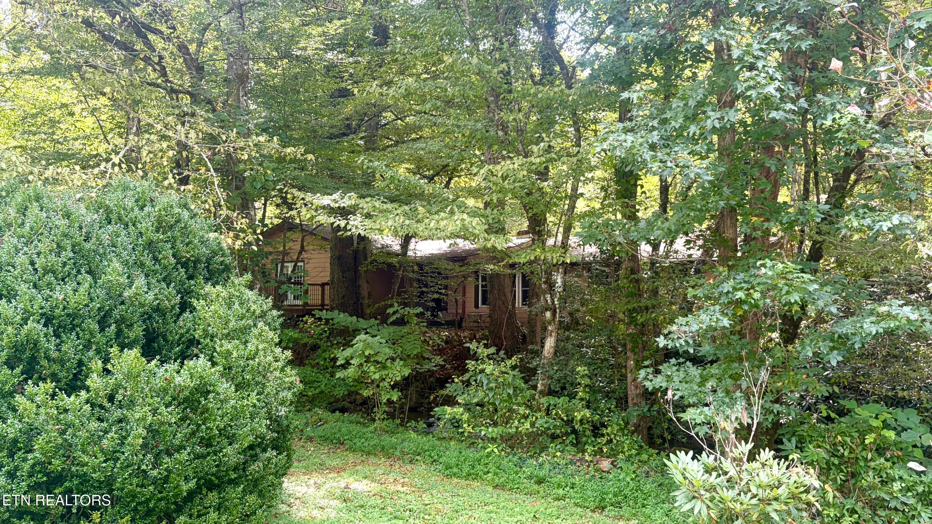 4413 E Scenic Drive, Gatlinburg, TN 37738