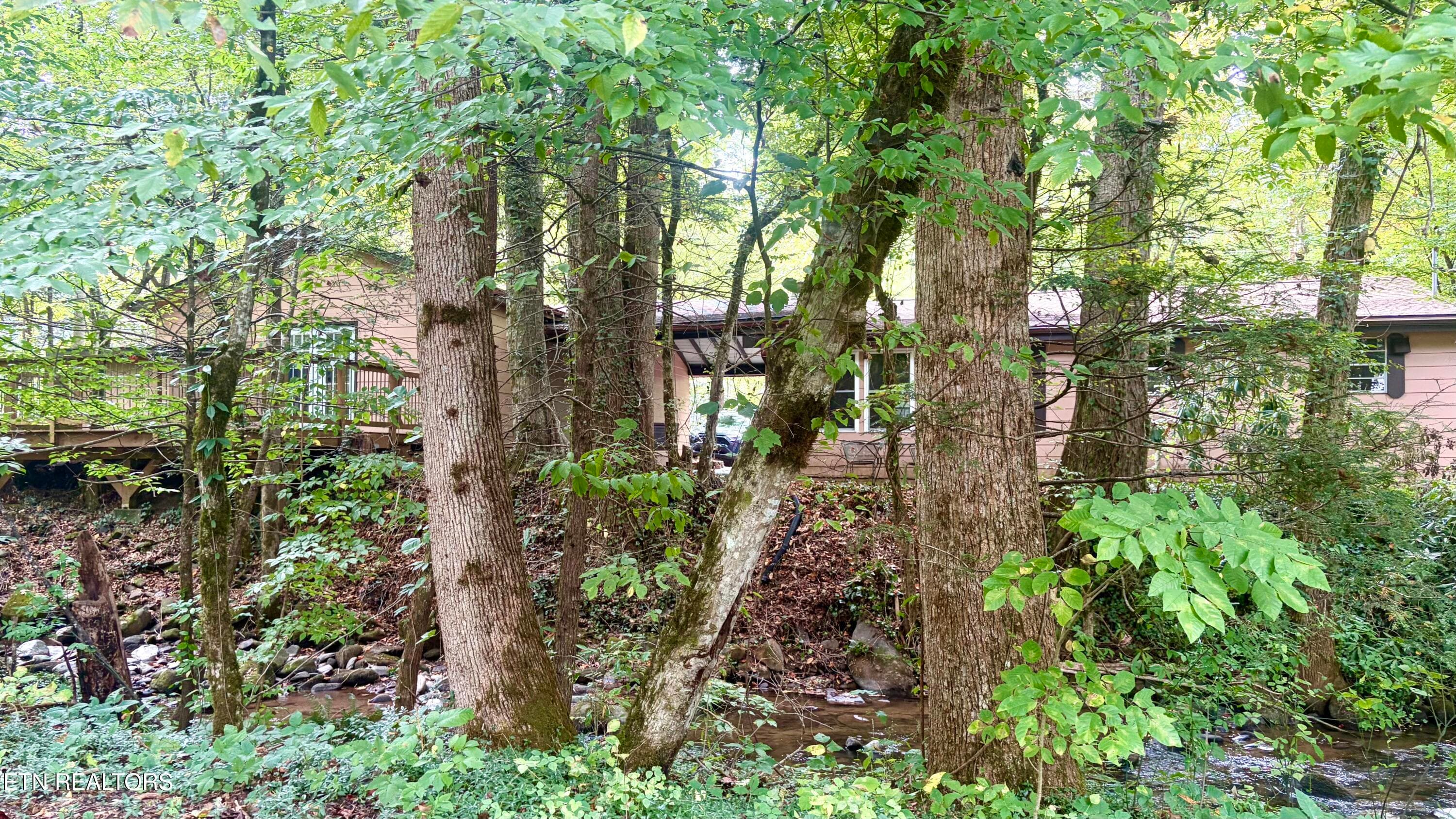 IMG_1569 - 4413 E Scenic Drive, Gatlinburg, TN 37738, Gatlinburg
