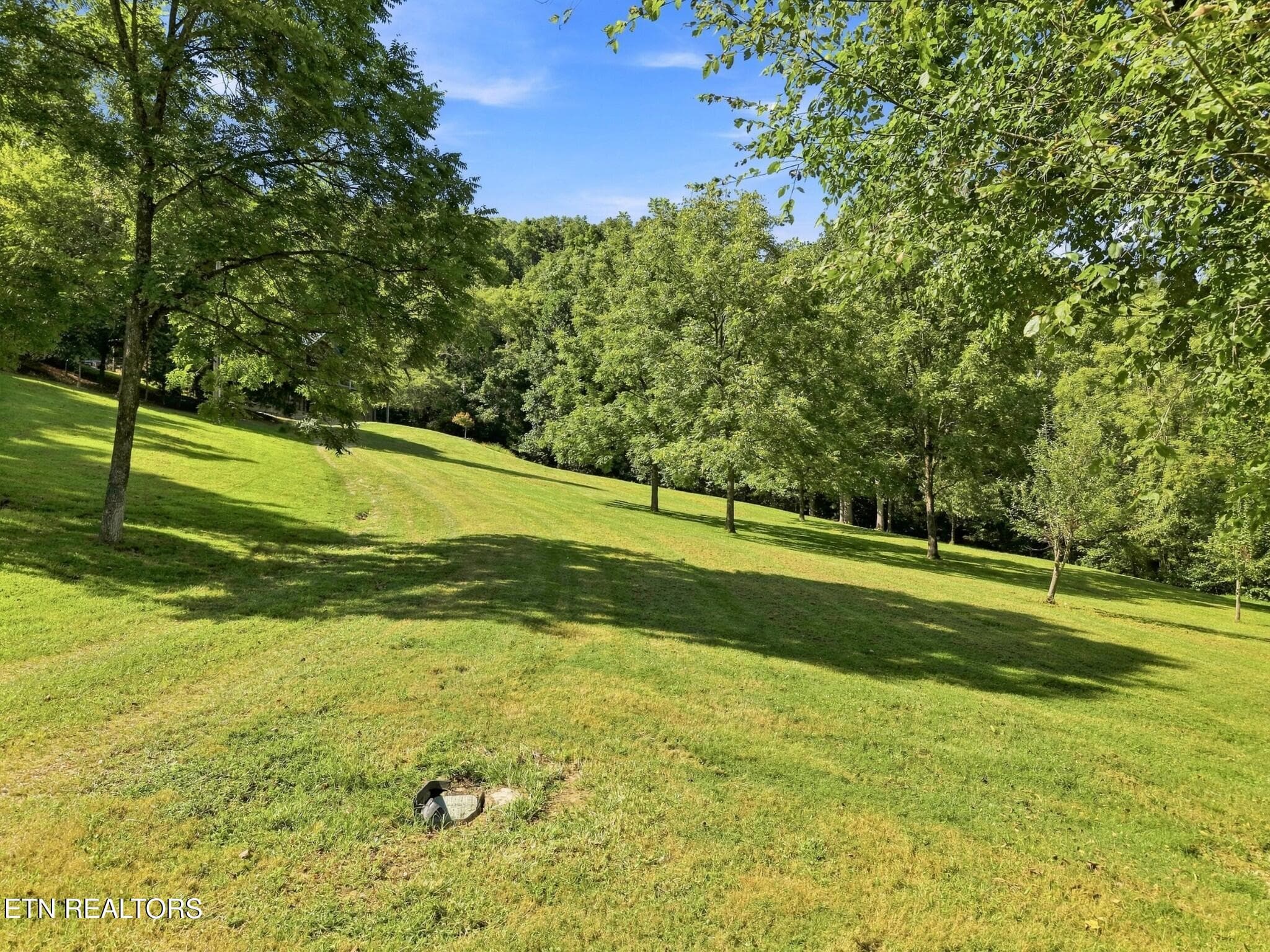 52 - 59 Russell Lane, Pleasant Shade, TN 37145