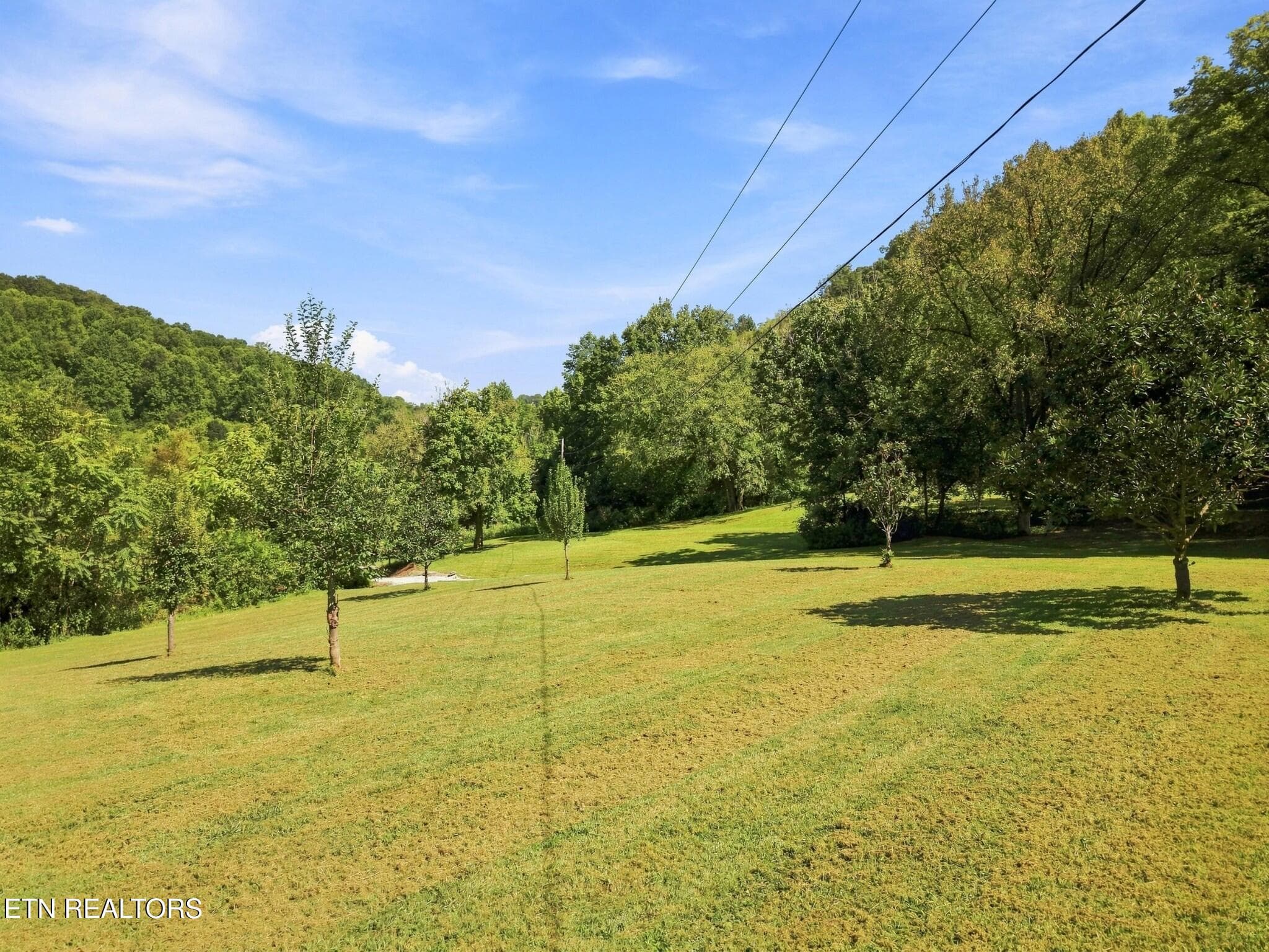 56 - 59 Russell Lane, Pleasant Shade, TN 37145