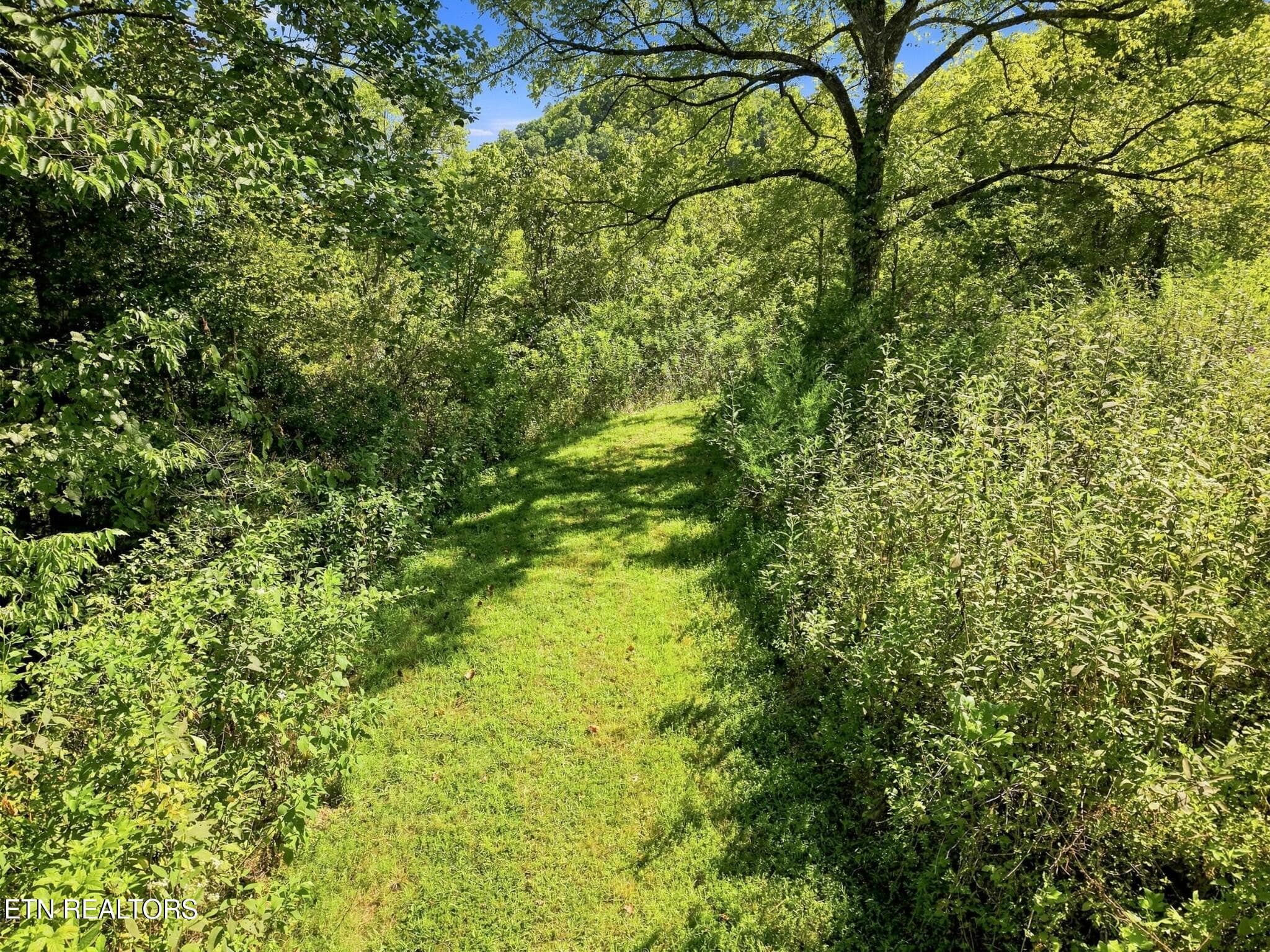 57 - 59 Russell Lane, Pleasant Shade, TN 37145