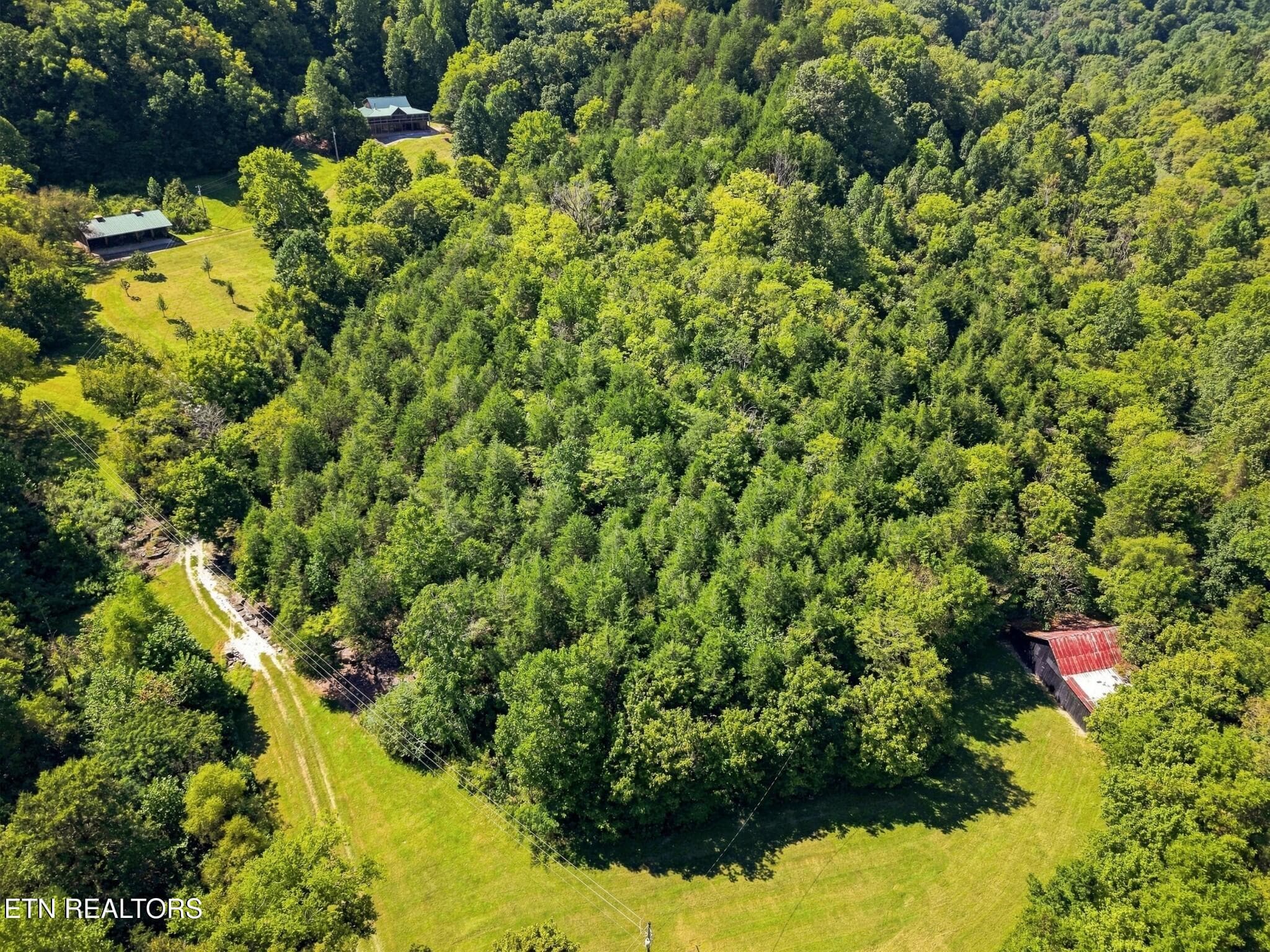 58 - 59 Russell Lane, Pleasant Shade, TN 37145