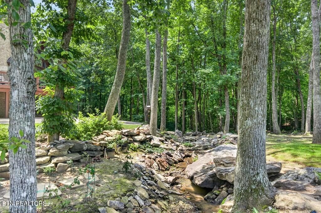 246164_68 - 335 High Meadow Drive, Spencer, TN 38585