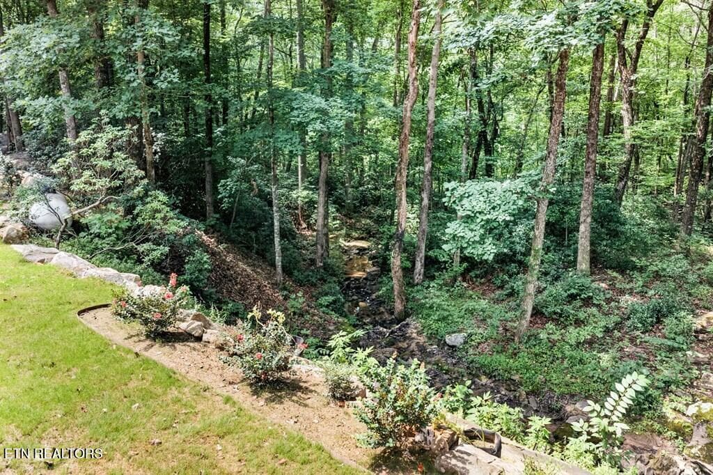 246164_15 - 335 High Meadow Drive, Spencer, TN 38585