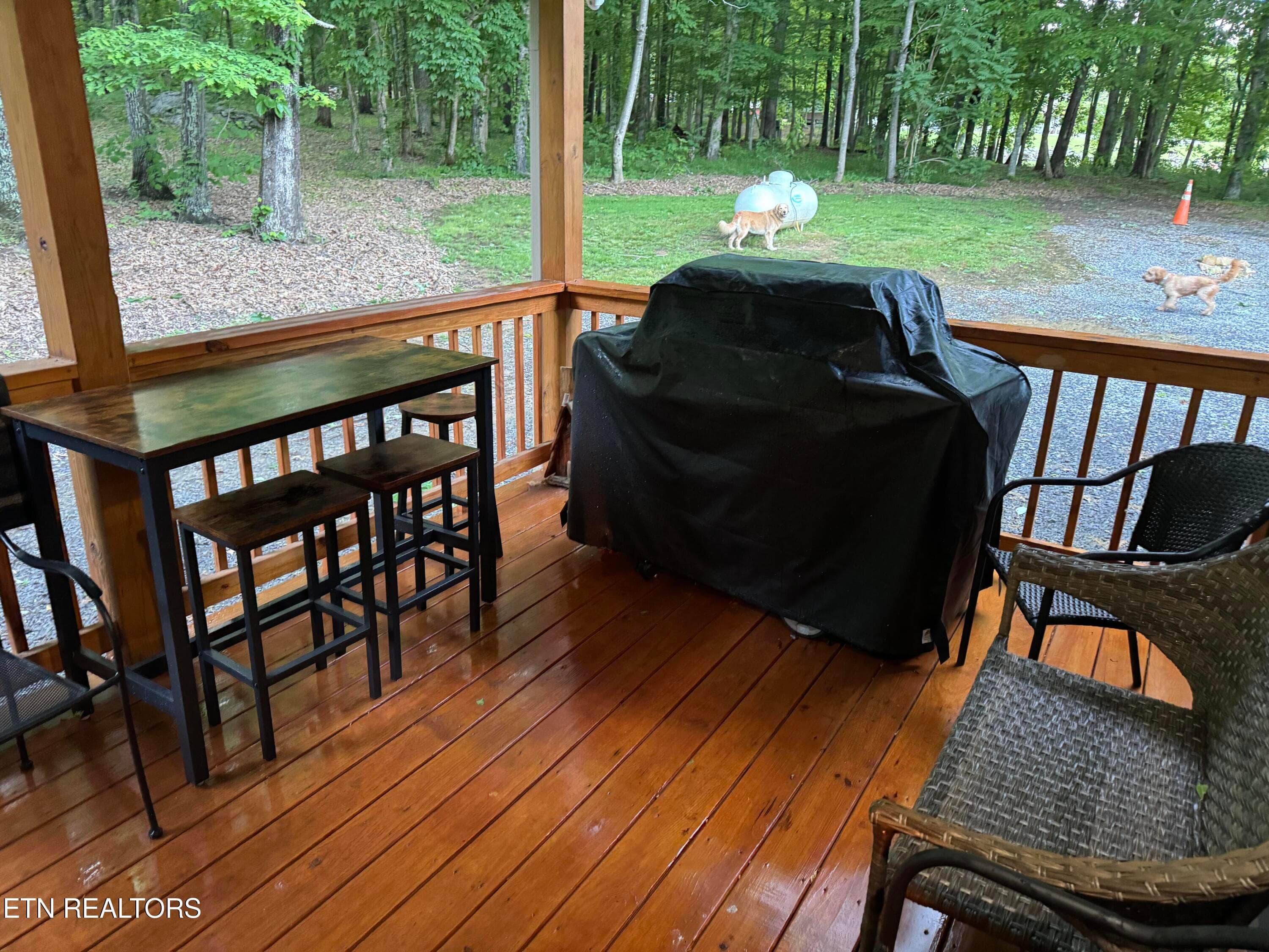 22 - 910 English Mtn Rd, Cosby, TN 37722, Cosby