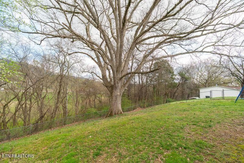 Backyard - 254 Mountain Rd, Luttrell, TN 37779, Luttrell