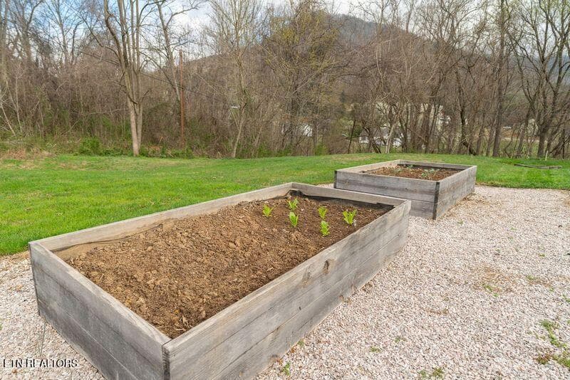 Garden - 254 Mountain Rd, Luttrell, TN 37779, Luttrell