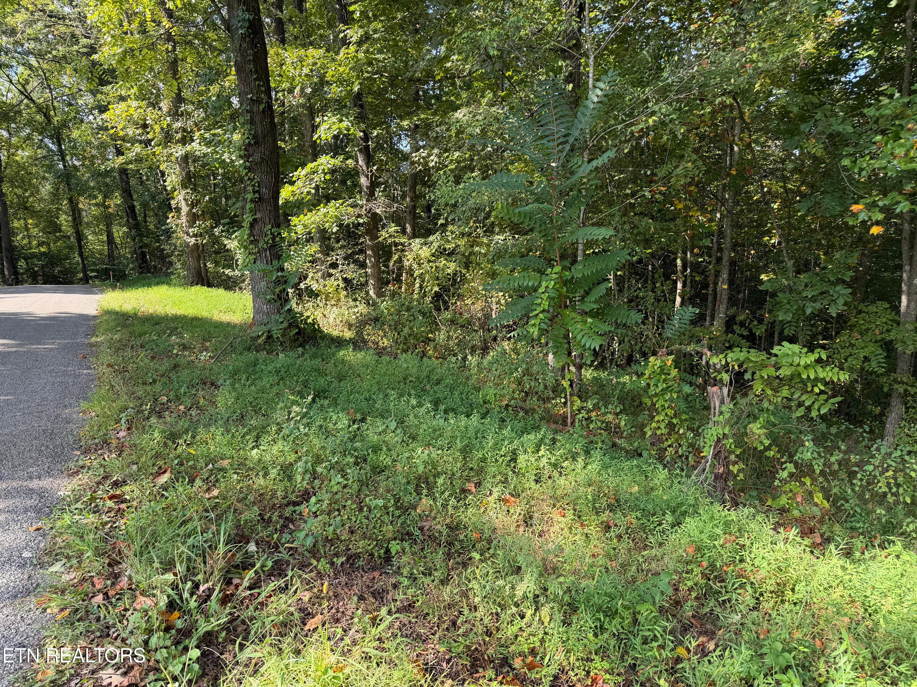 IMG_1462 - 22.35 Ac Moore Knob Rd, Allardt, TN 38504
