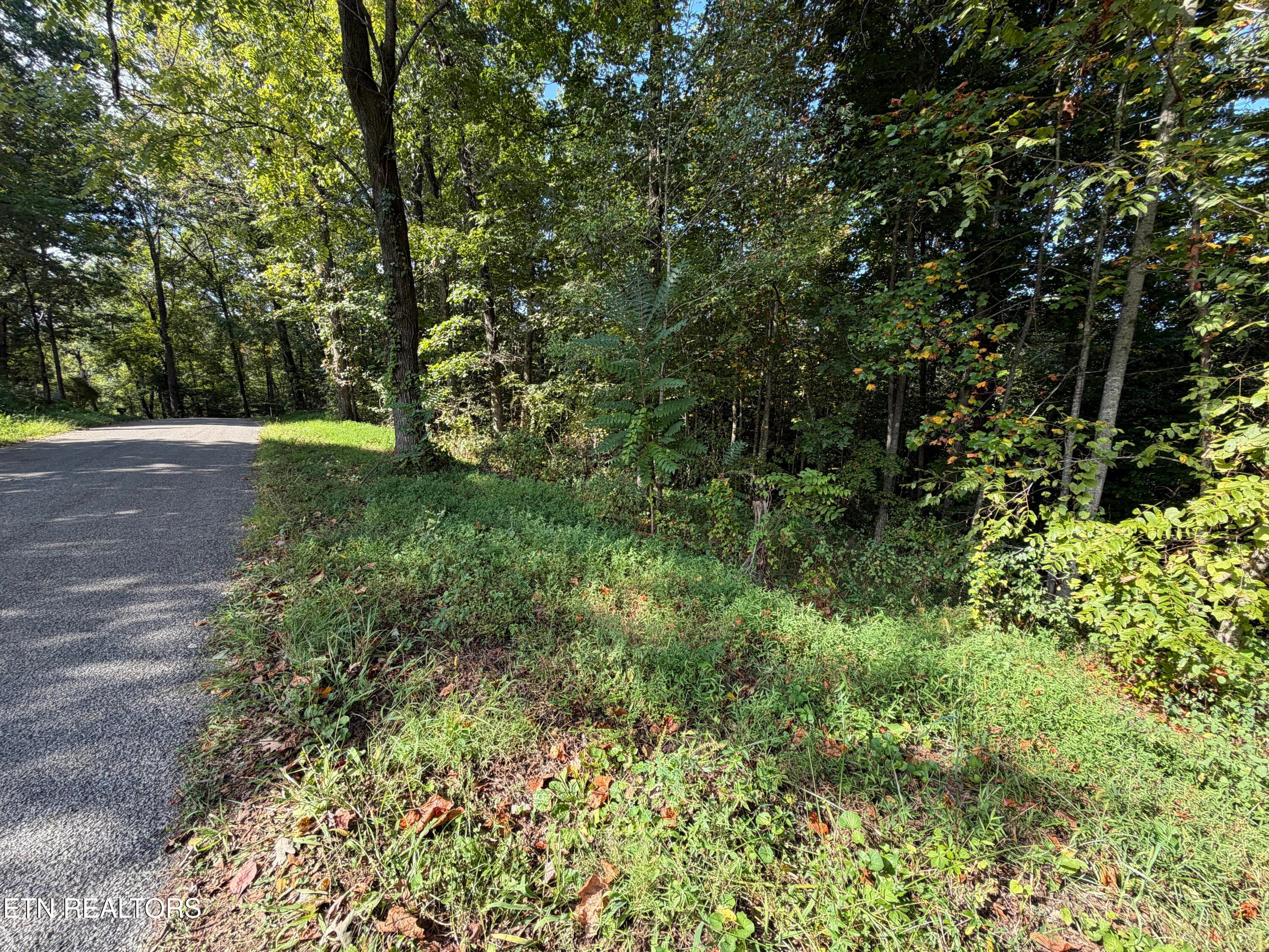 IMG_1463 - 22.35 Ac Moore Knob Rd, Allardt, TN 38504