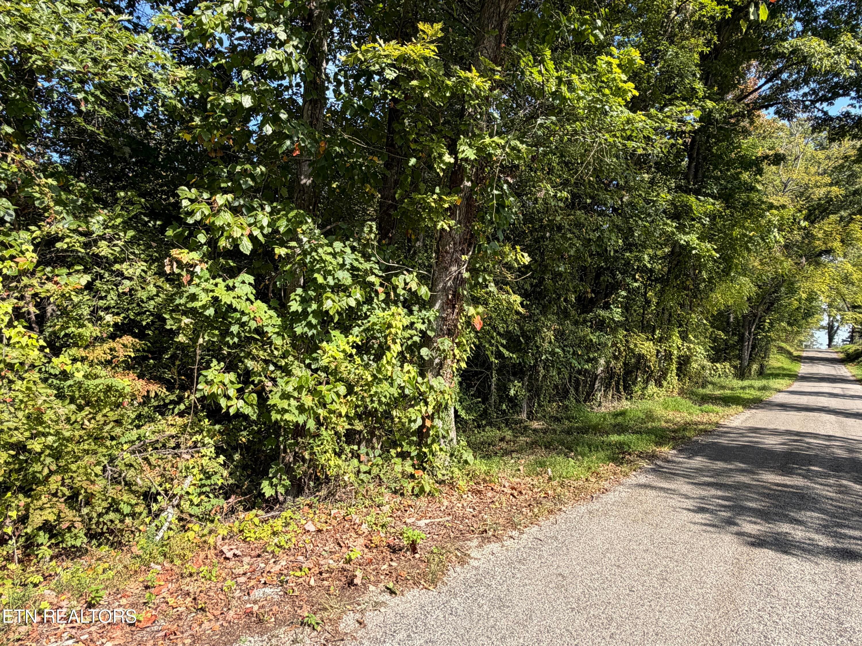 IMG_1464 - 22.35 Ac Moore Knob Rd, Allardt, TN 38504