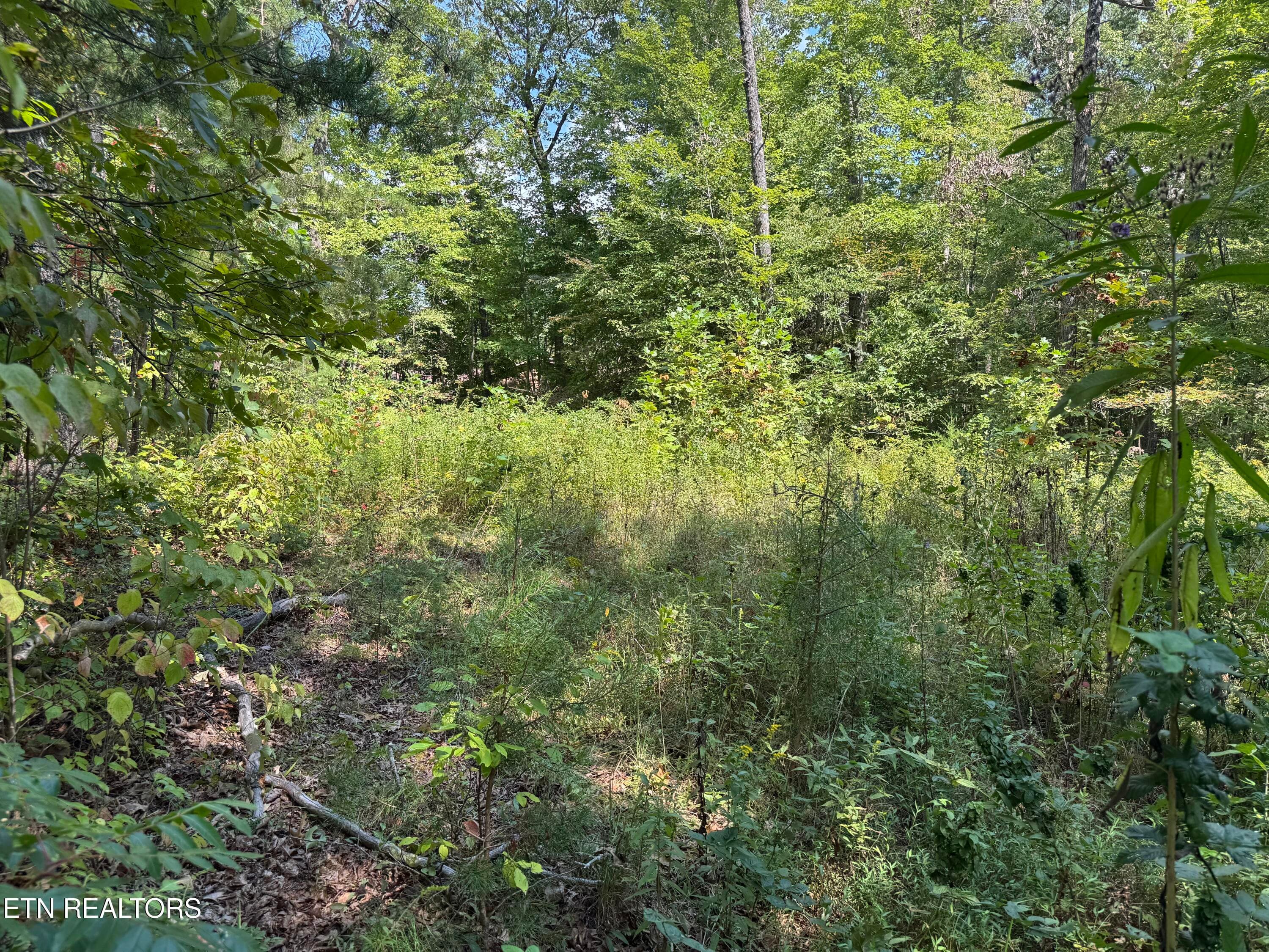 cliffmont 6 - Cliffmont Lot 32-33, Jamestown, TN 38556, Jamestown