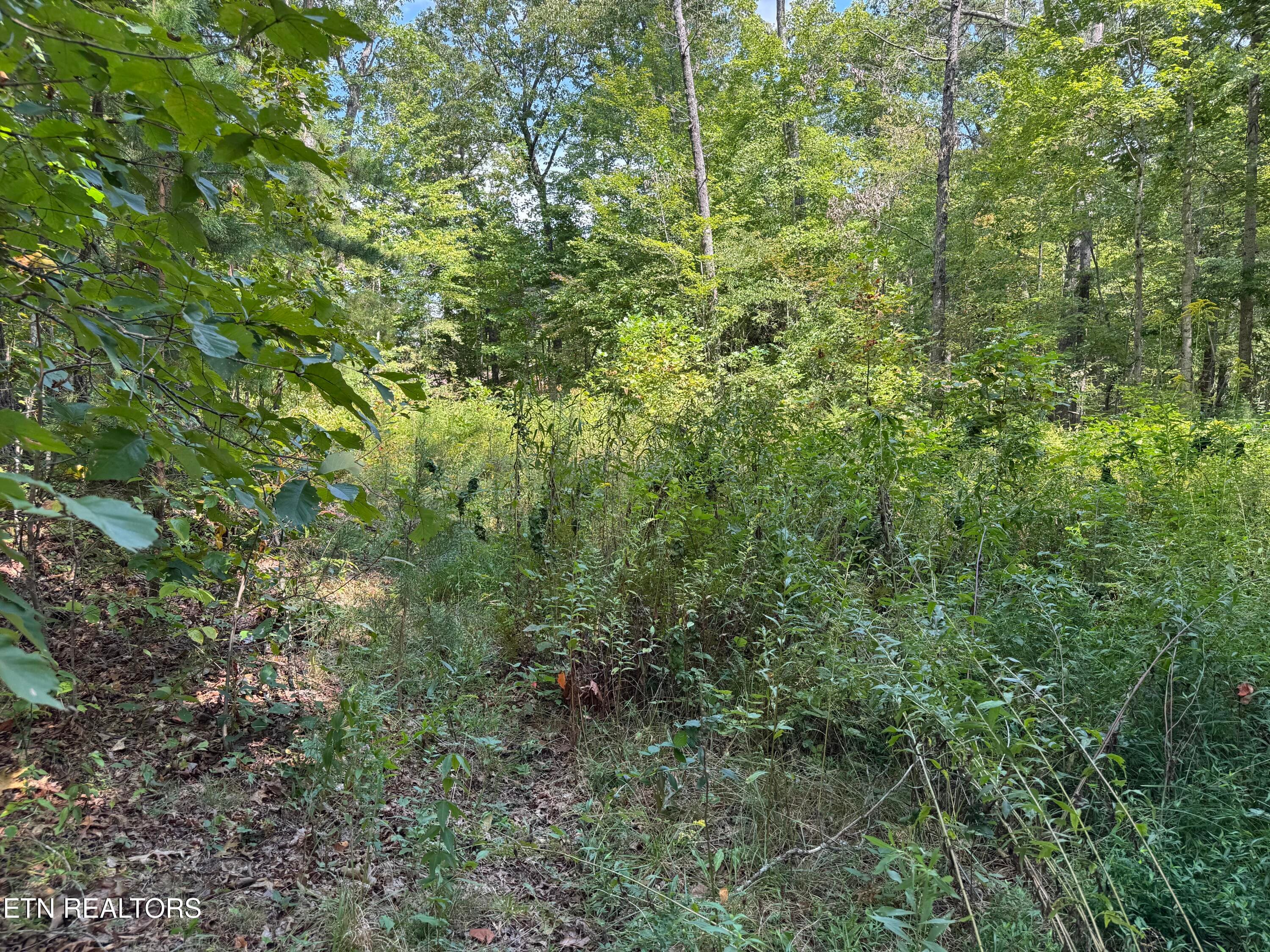 cliffmont 8 - Cliffmont Lot 32-33, Jamestown, TN 38556, Jamestown