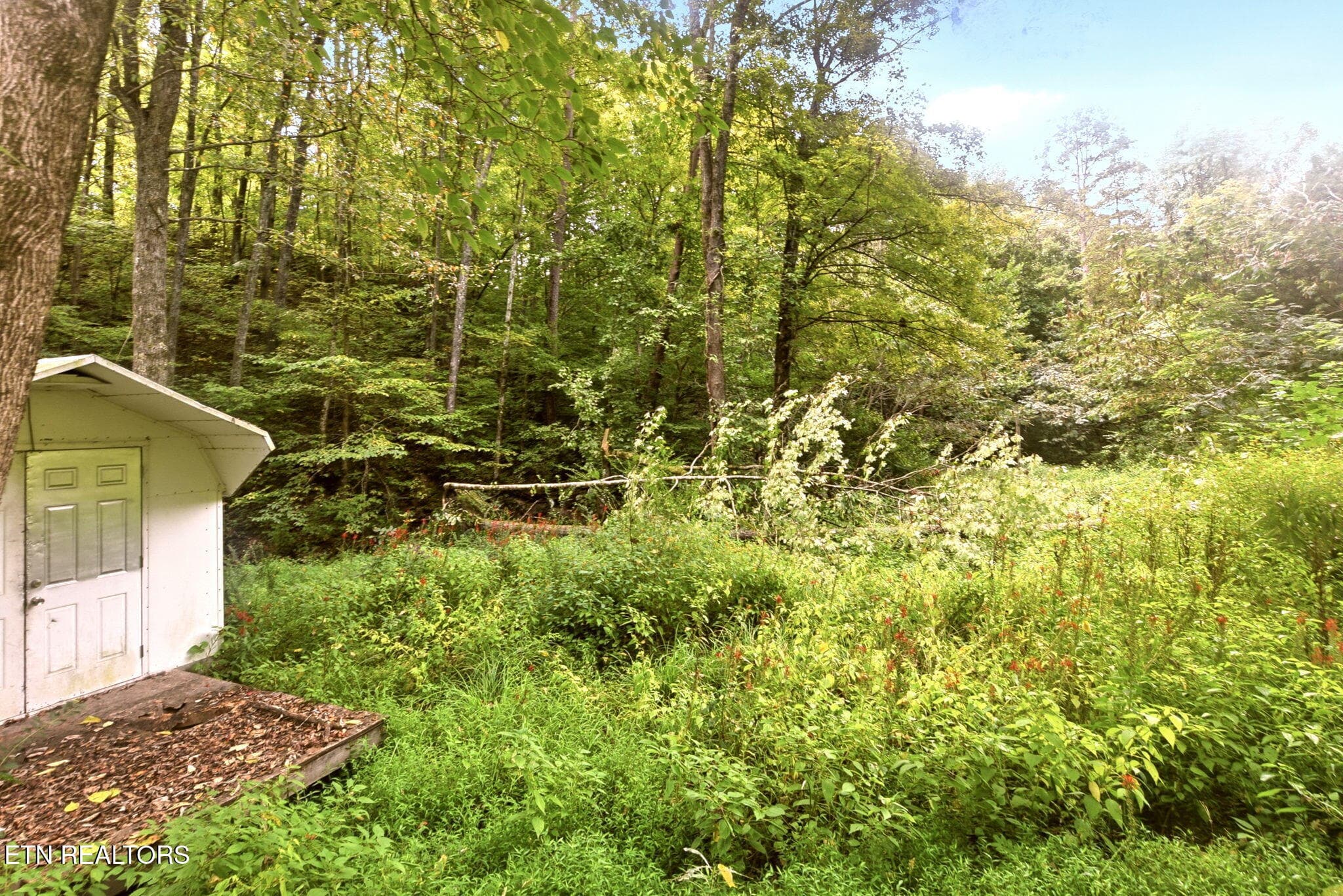 18-web-or-mls-Smith243 (2) - 243 Smith Rd, Clinton, TN 37716